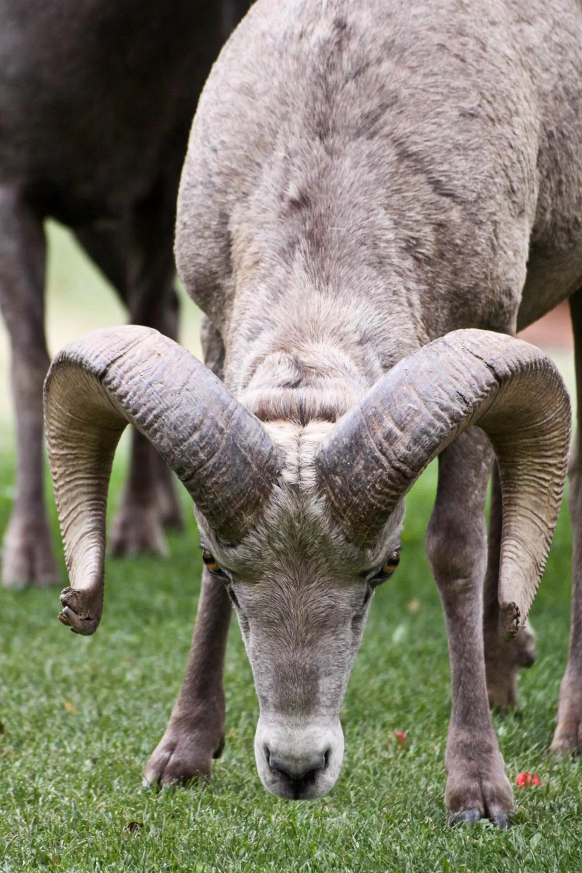 Other in Crystal Springs Lodge