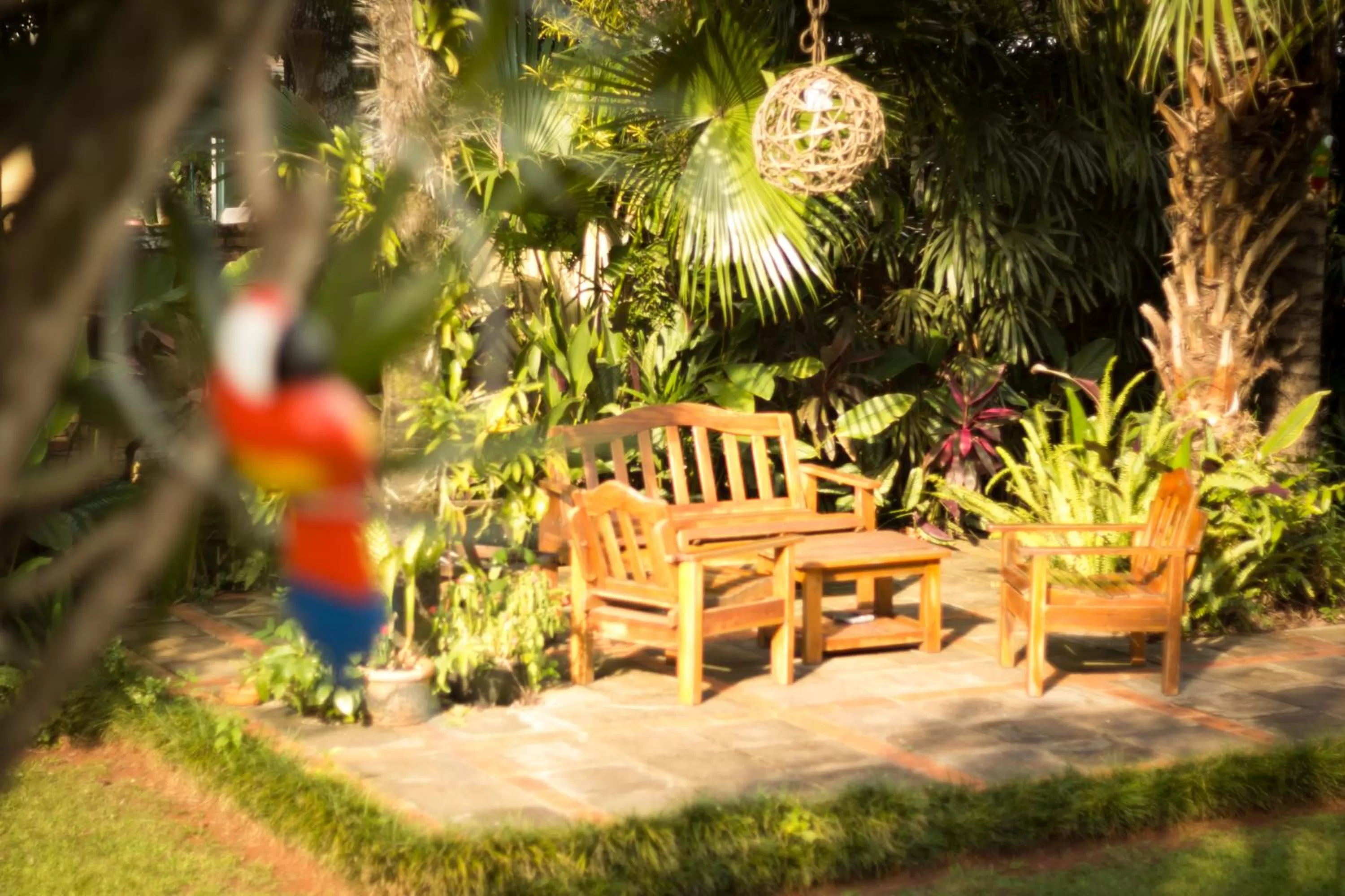 Garden view in Las Orquideas Parque Hotel