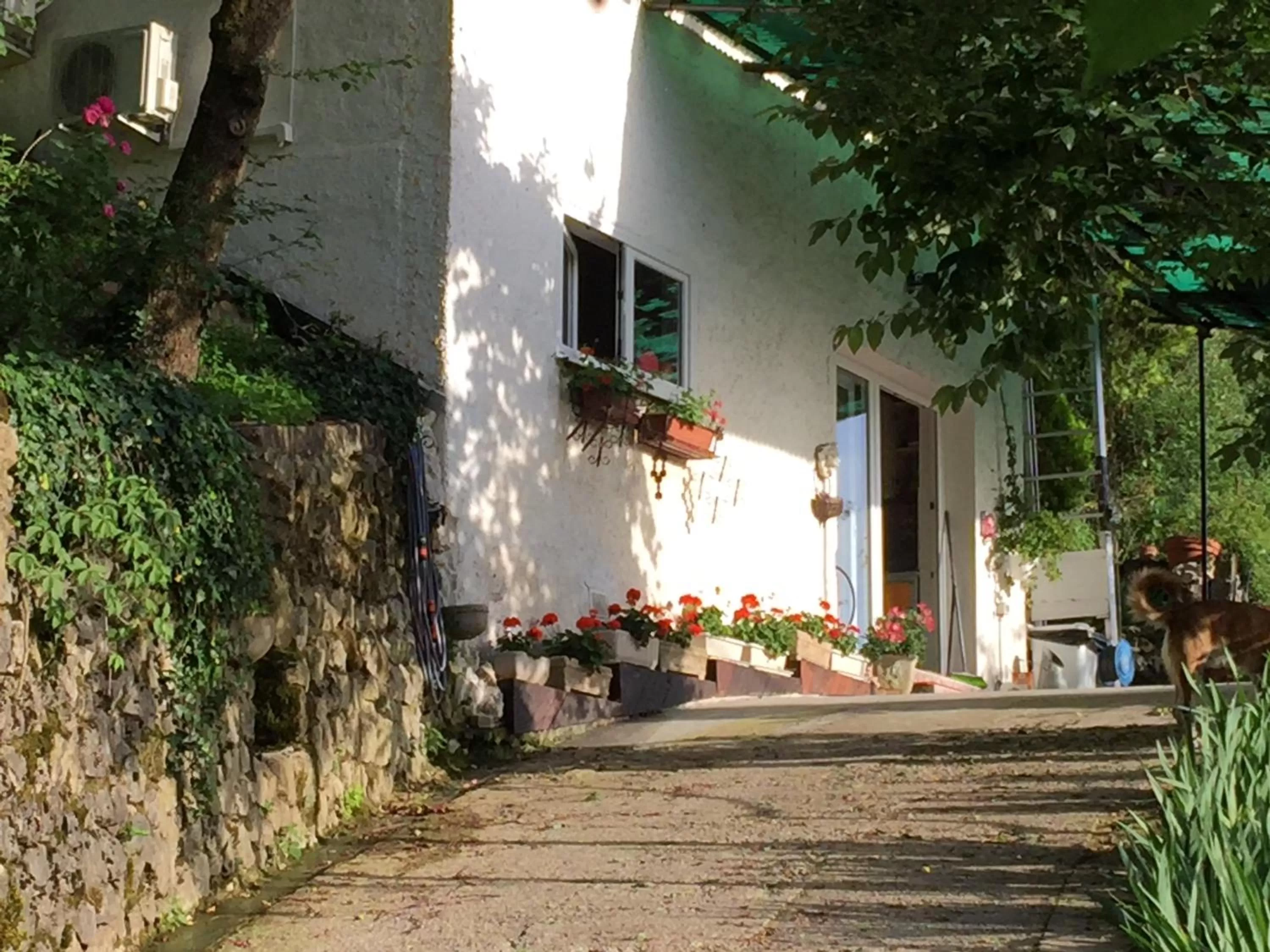 Property building in Su da noi