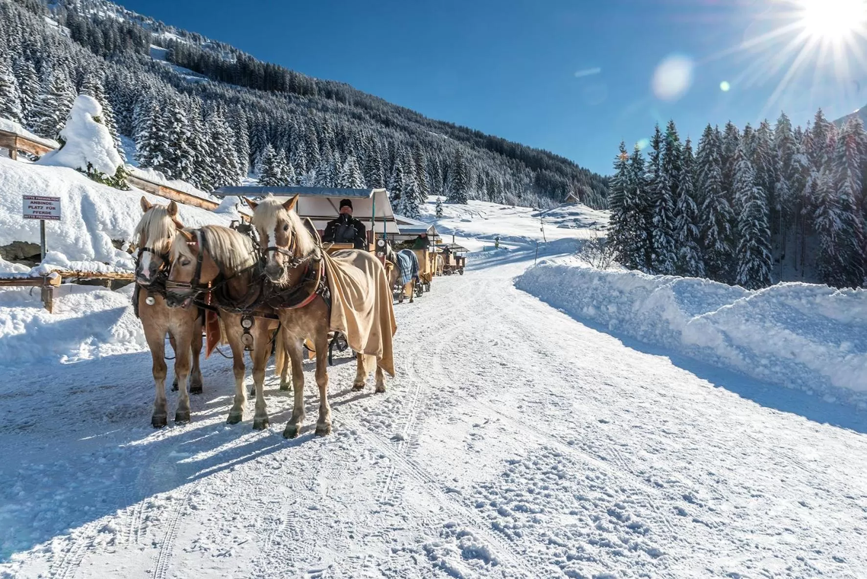 Horse-riding in Das Lenz by Inncomer