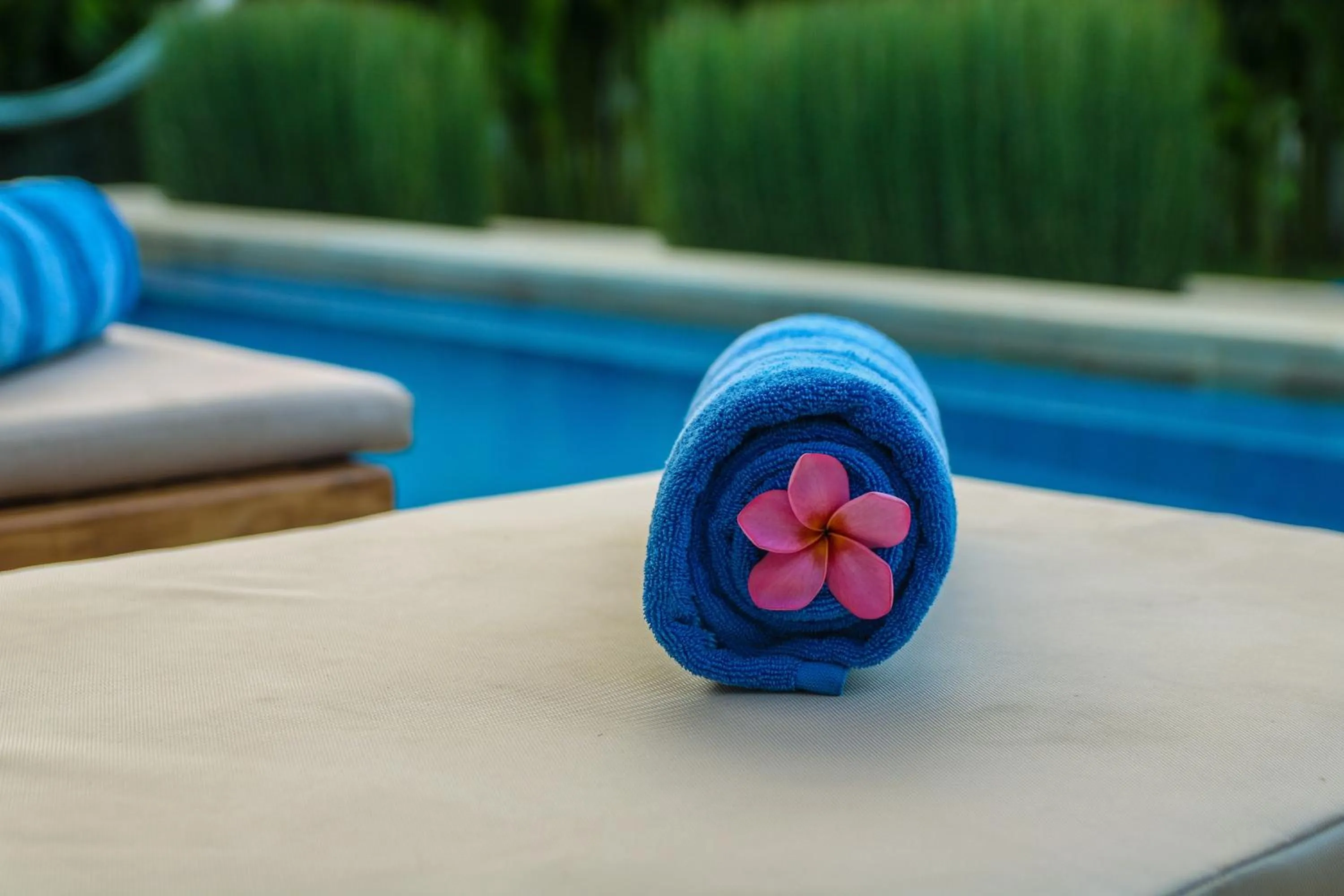 Pool view in Cozy Cottages Lombok