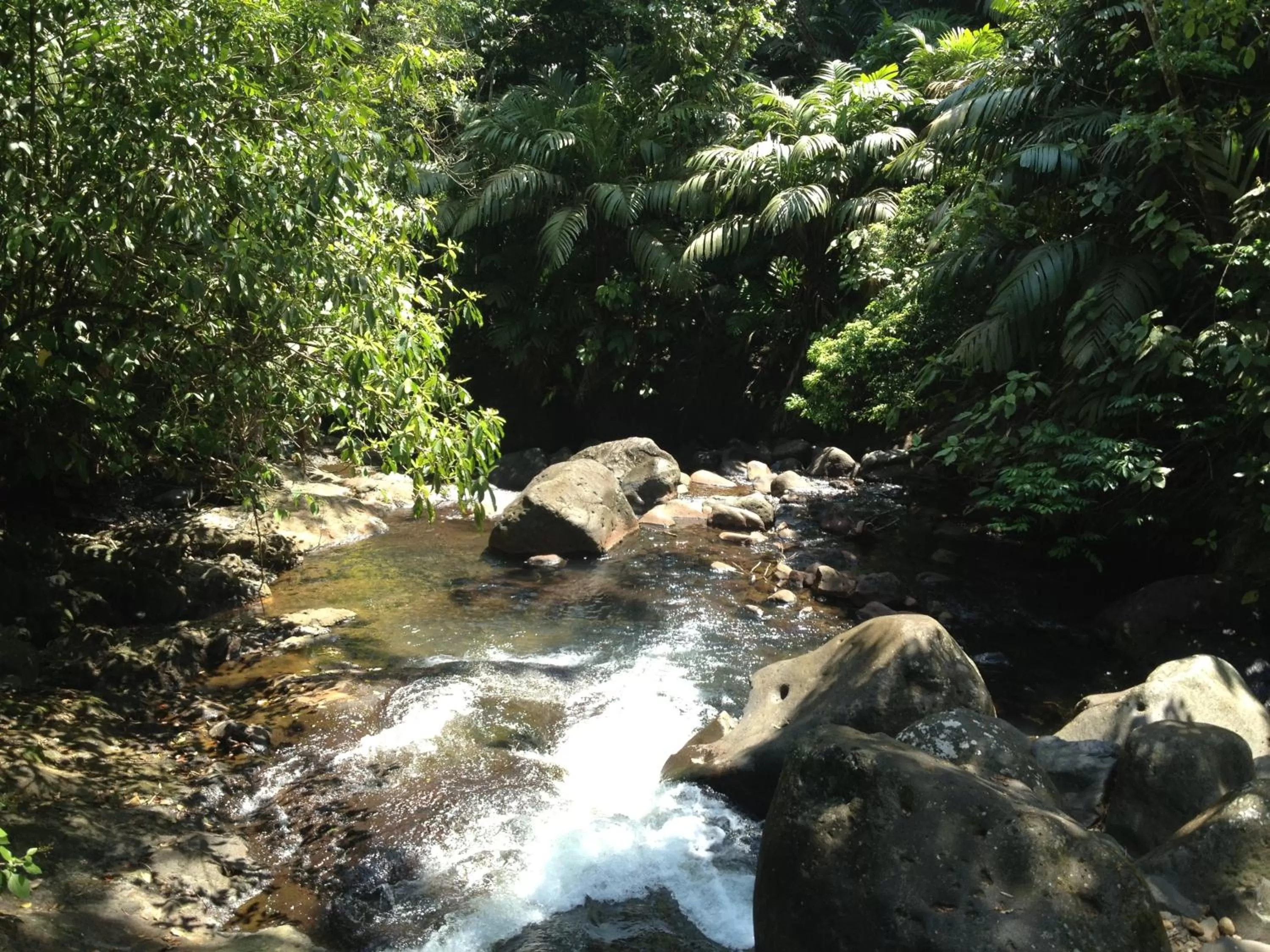 Hiking in El Tucano Resort & Thermal Spa