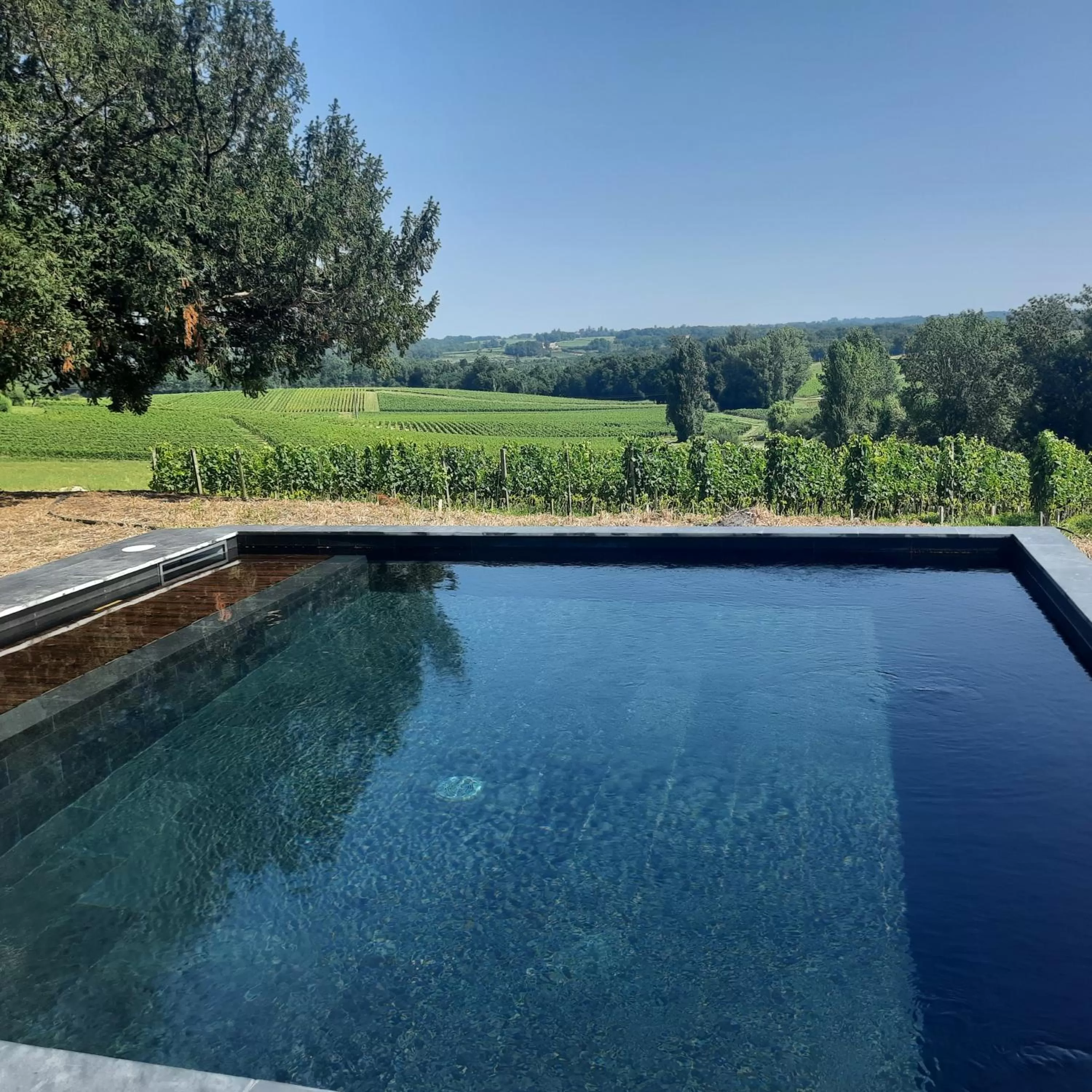 Pool view in Le logis de Valandraud