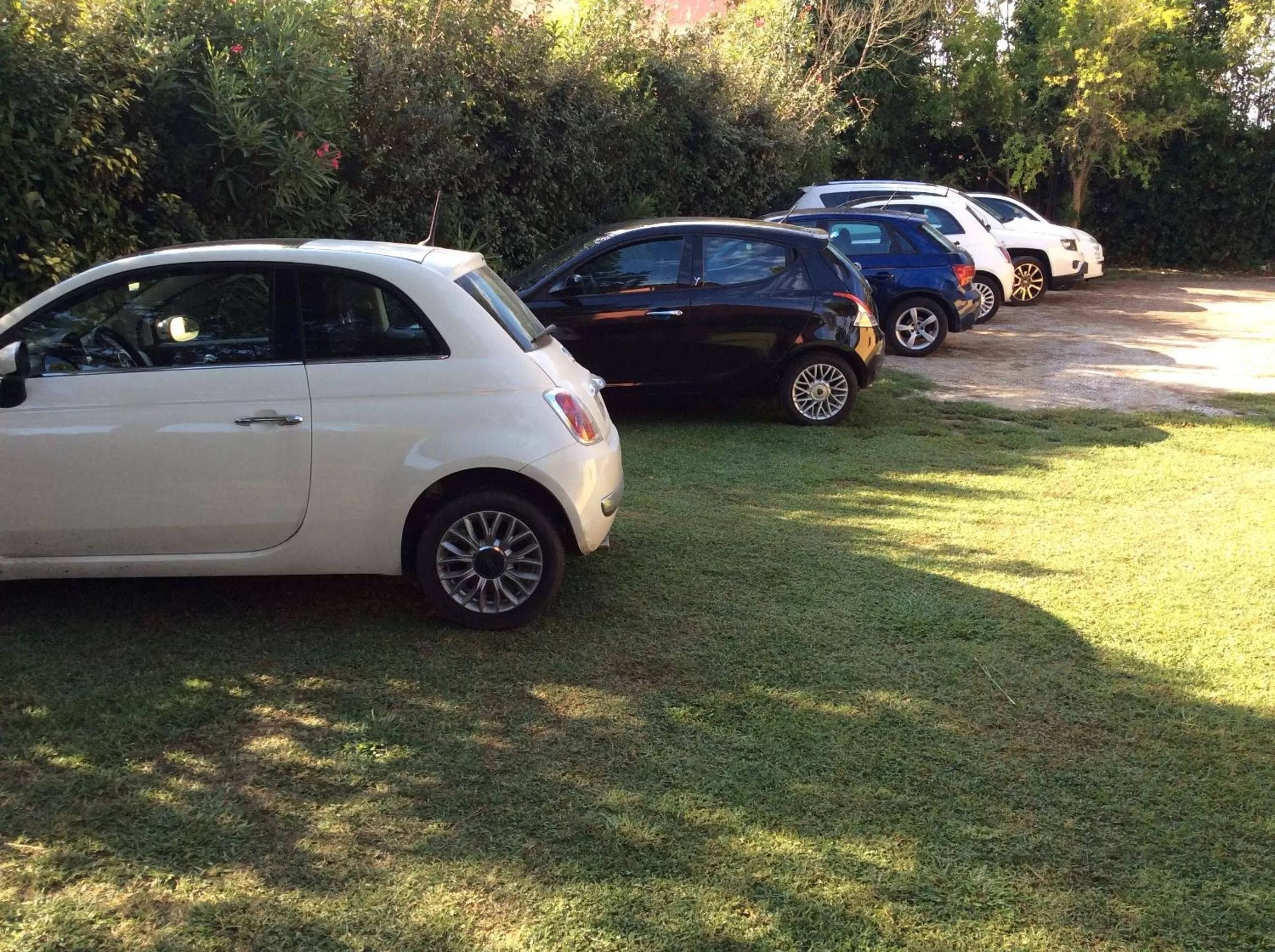 Area and facilities in Pisa Holidays