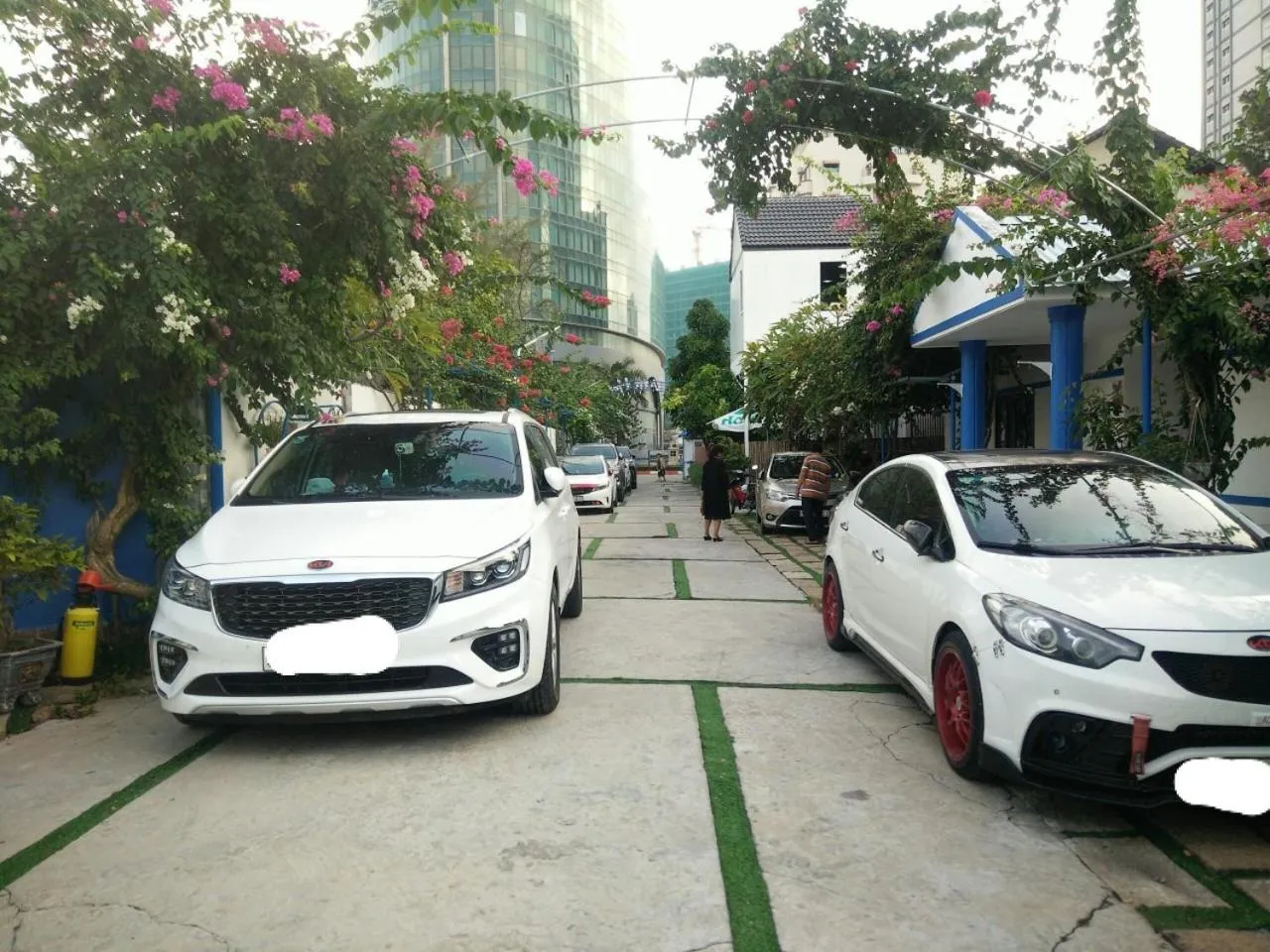 Garden view in La Vita Hotel