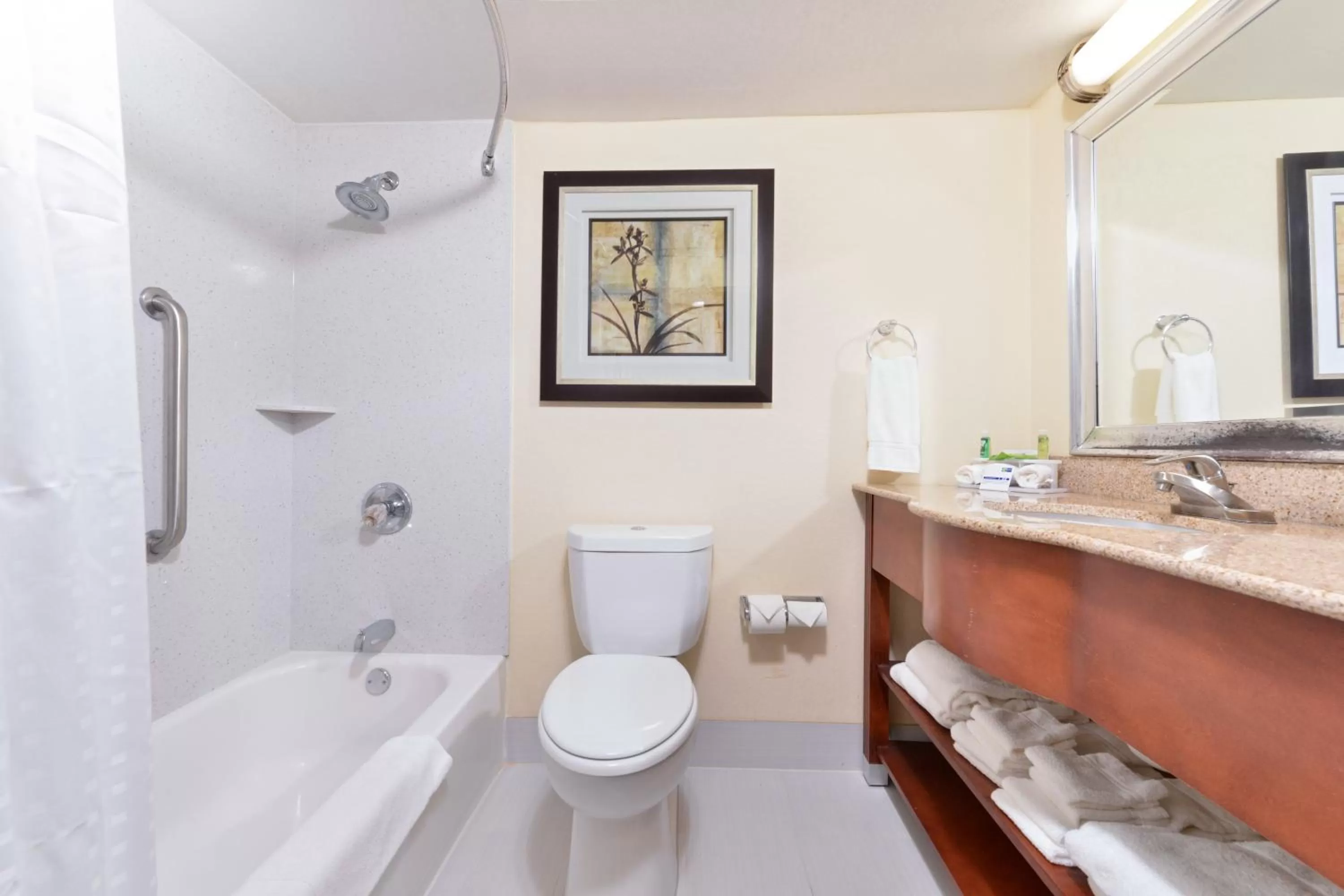 Queen Room - Disability Access Tub/Non-Smoking in Holiday Inn Express Harrisburg SW - Mechanicsburg, an IHG Hotel