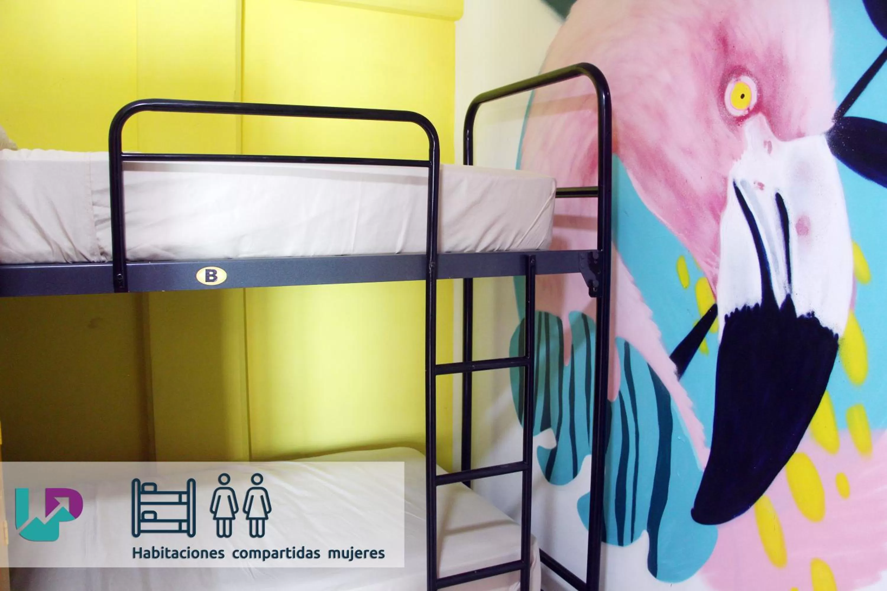 Photo of the whole room, Bunk Bed in Hotel & Hostal Casa de Luz Cancun