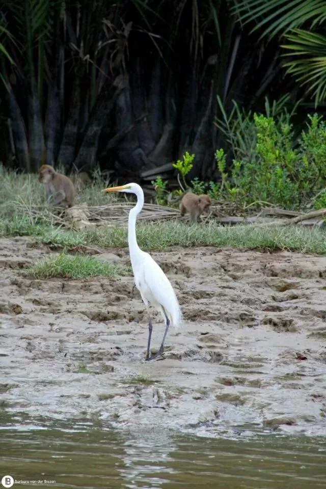 Dragon Pearl Beach Resort