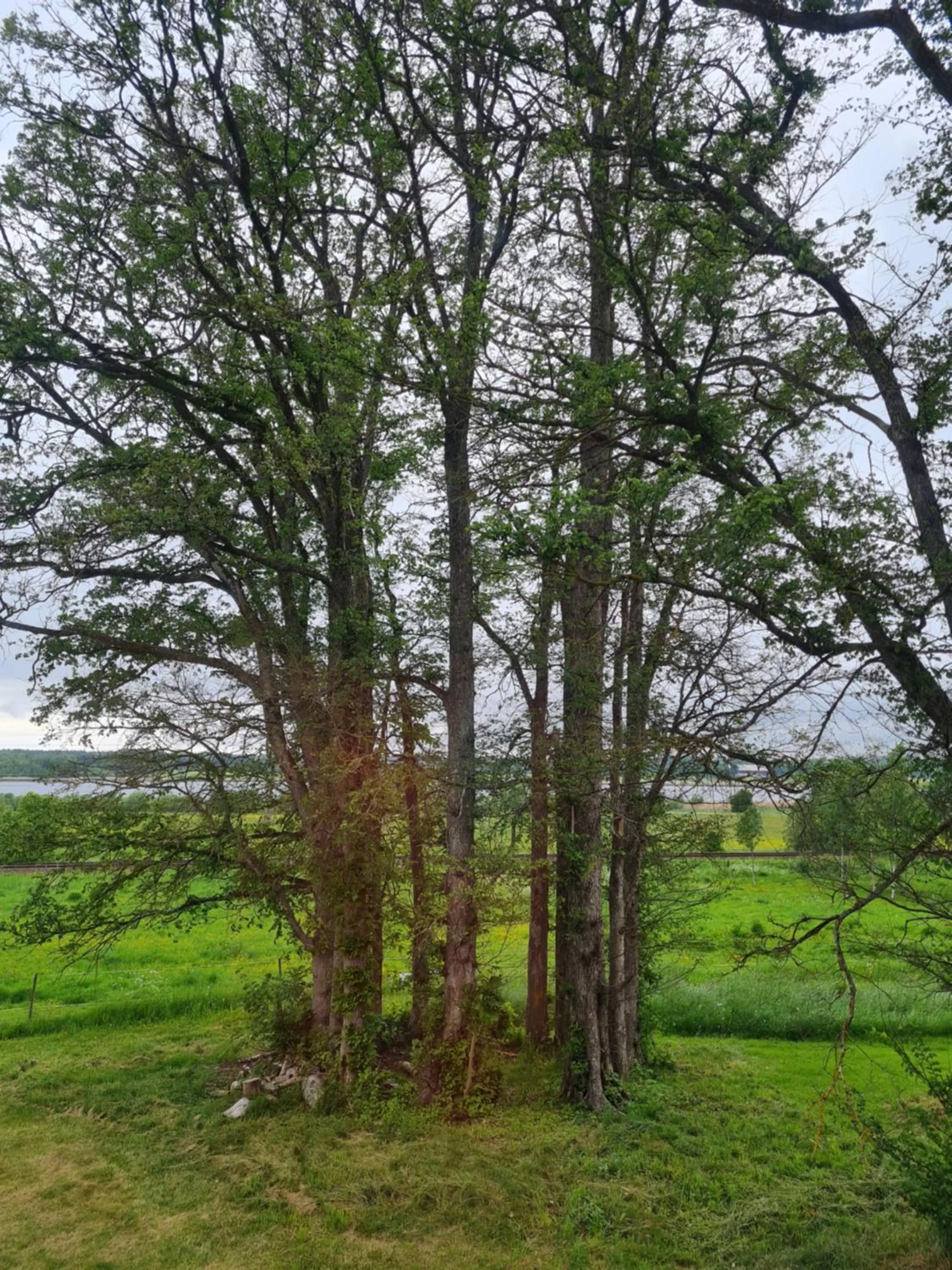 Nya Strandgårdens Wärdshus