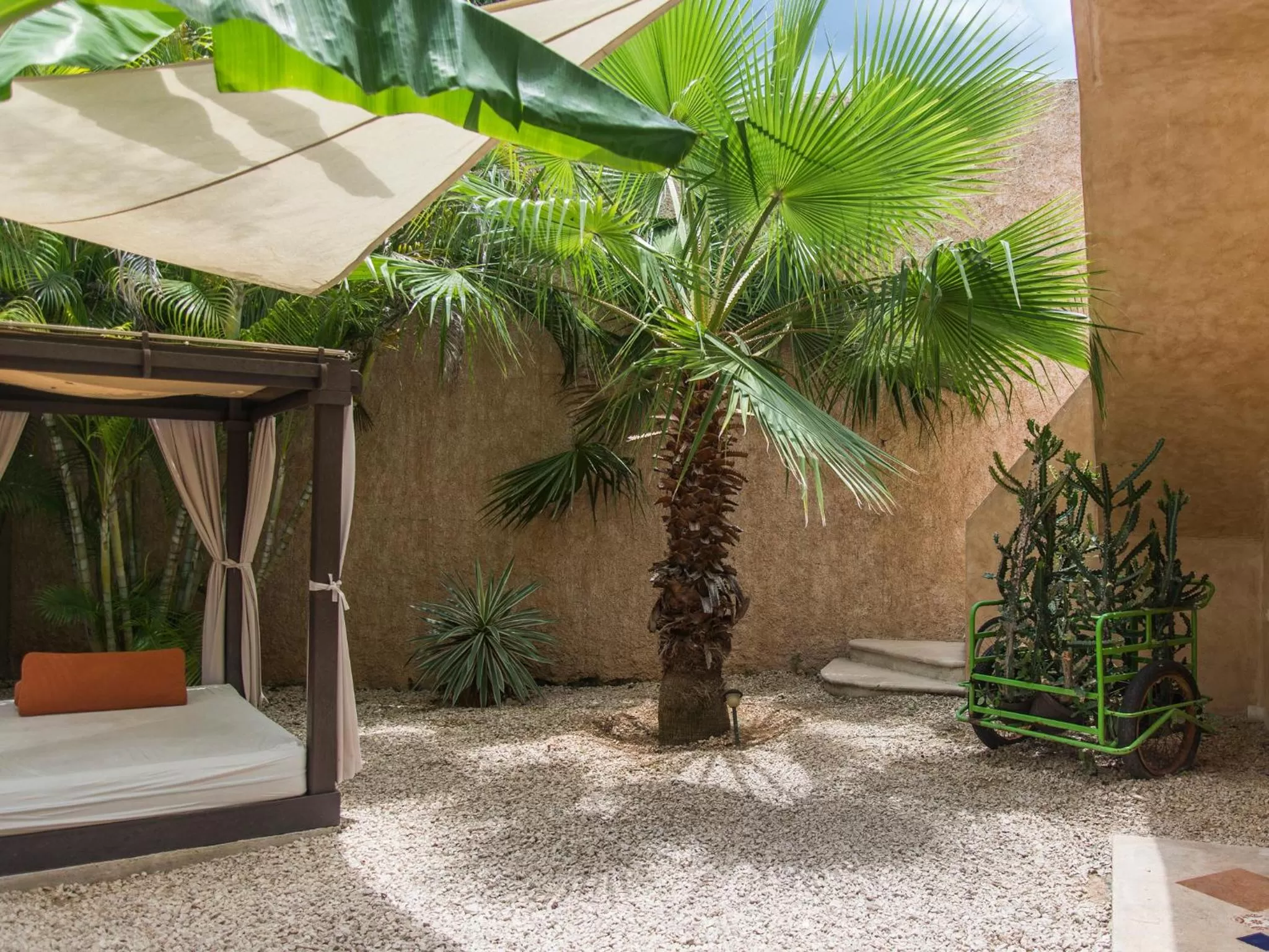 Garden in Hotel Barrio Latino