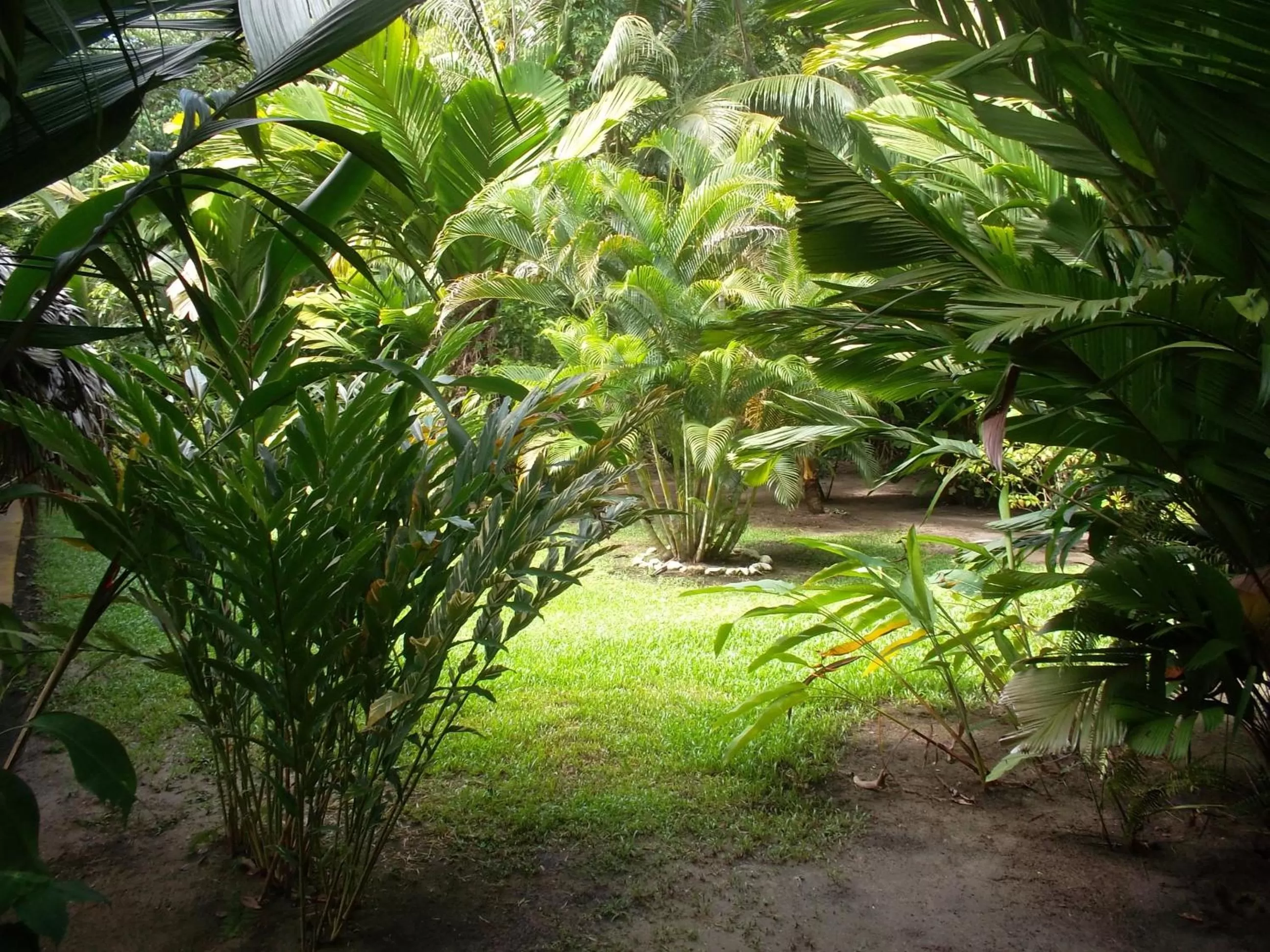 Hotel Salvador Gaviota