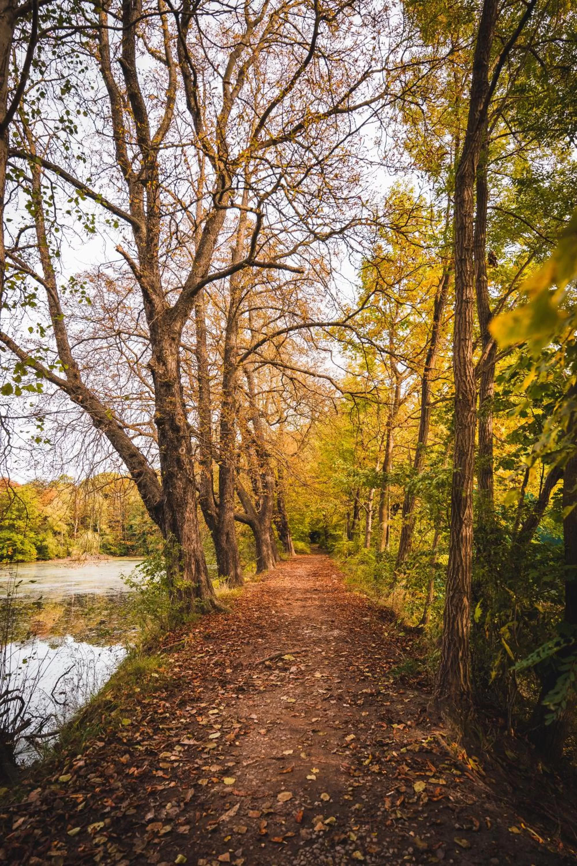 Property building in Chateau St. Havel - Wellness Hotel