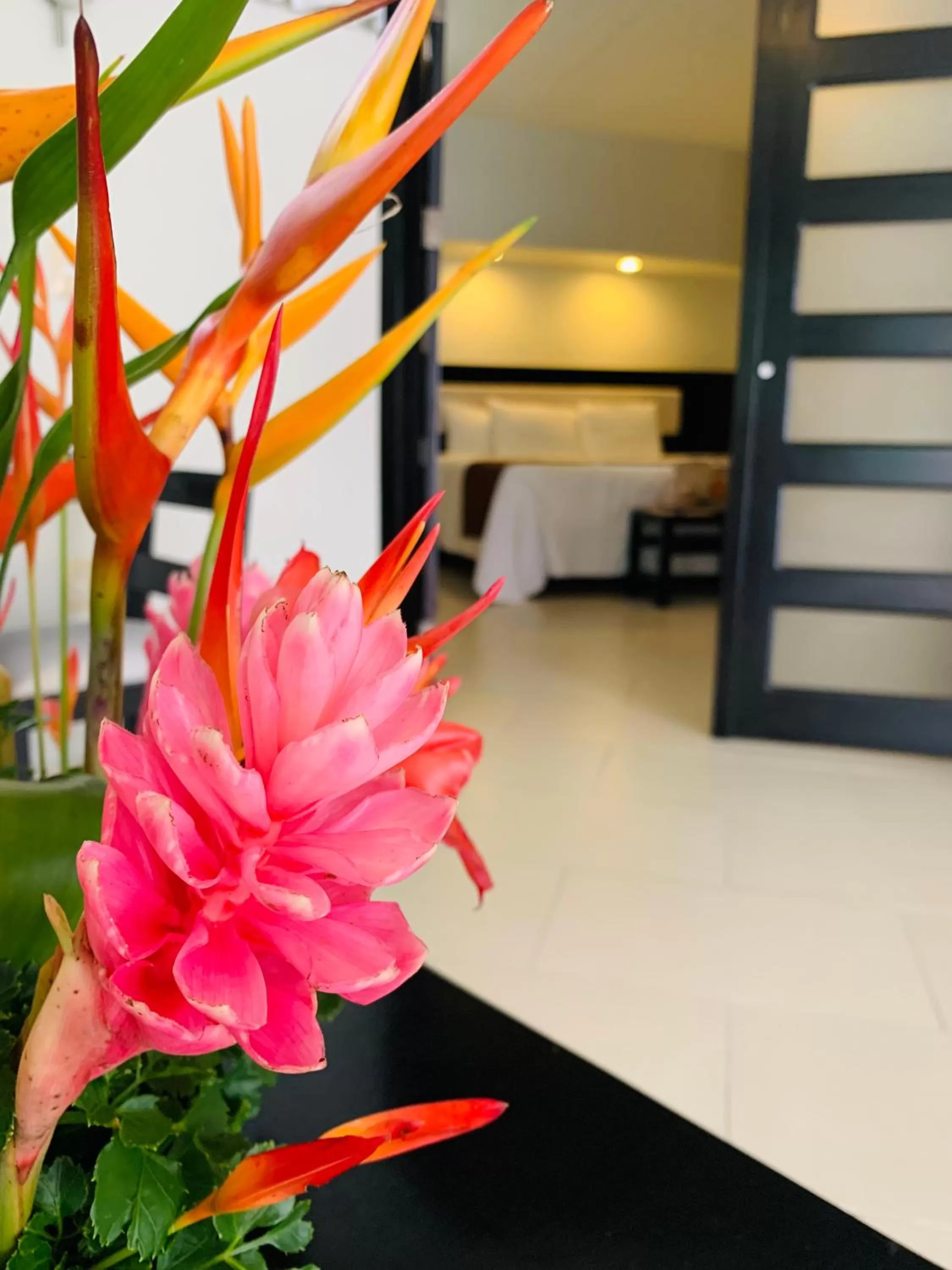 Photo of the whole room in Hotel Nututun Palenque