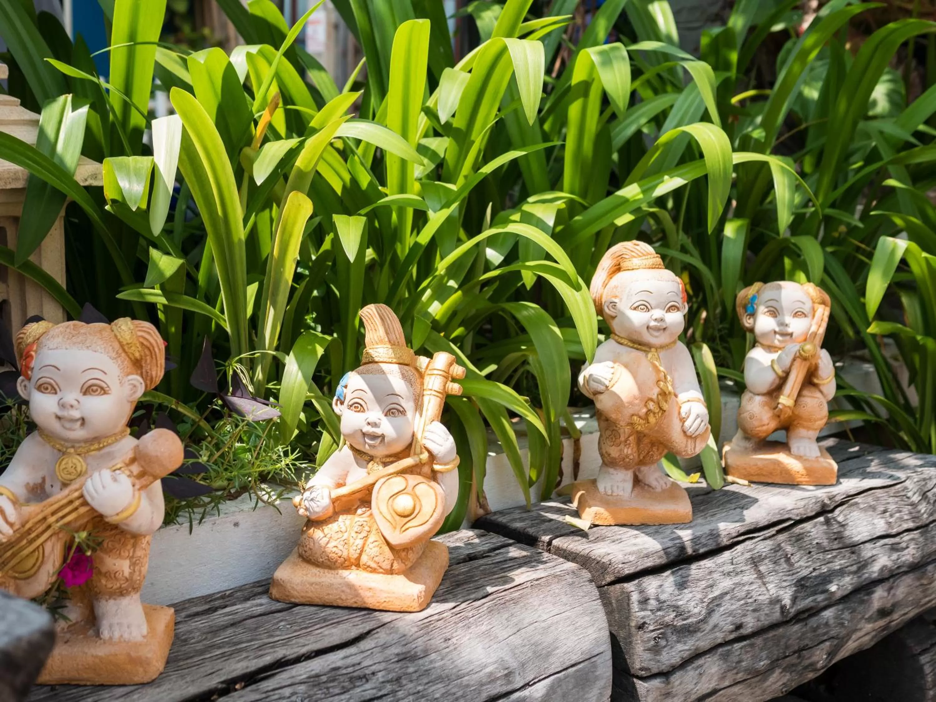 Other in Chomsin Hua Hin ชมสินธุ์ หัวหิน