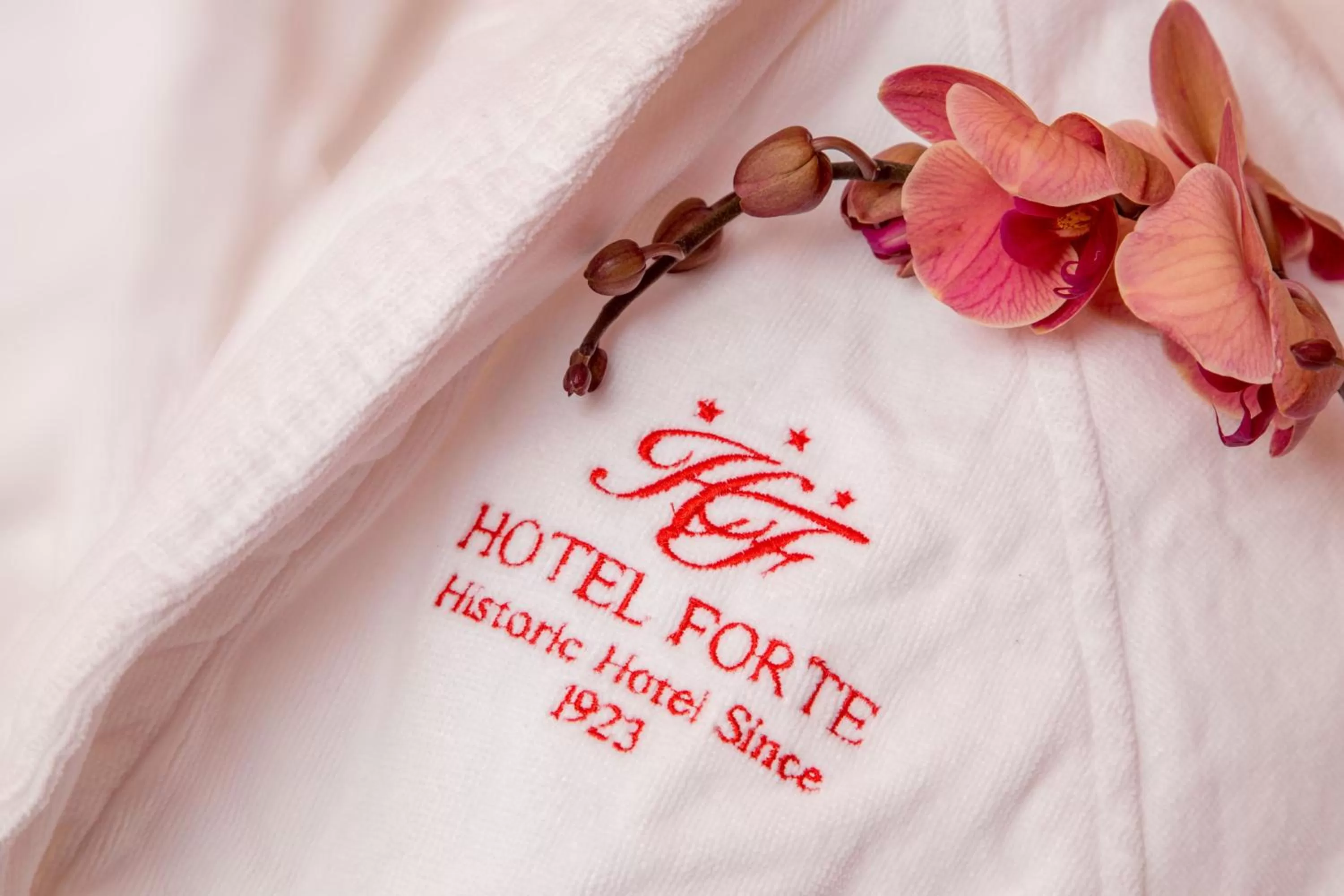 Shower in Hotel Forte