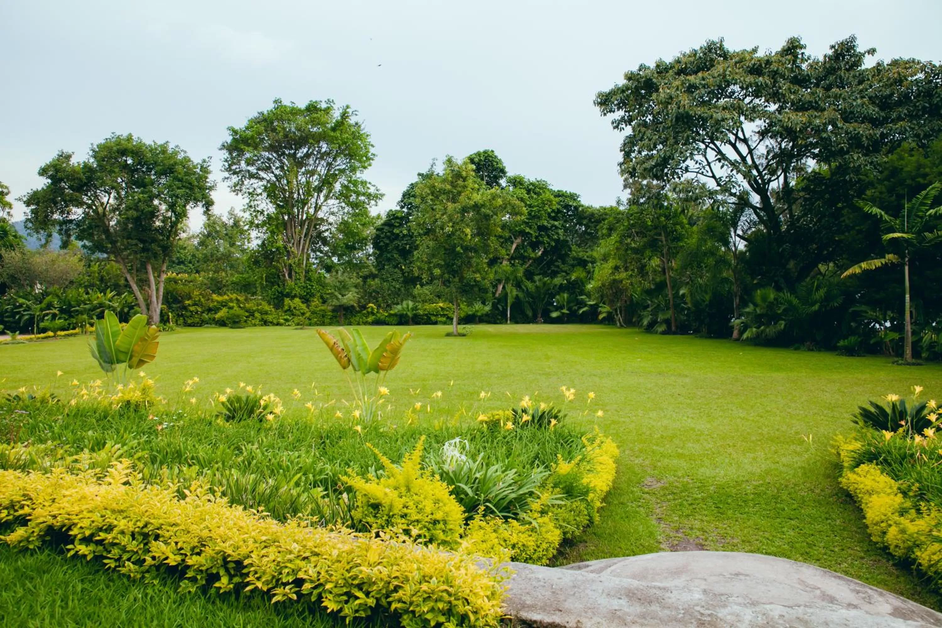Garden in Gorillas Lake Kivu Hotel