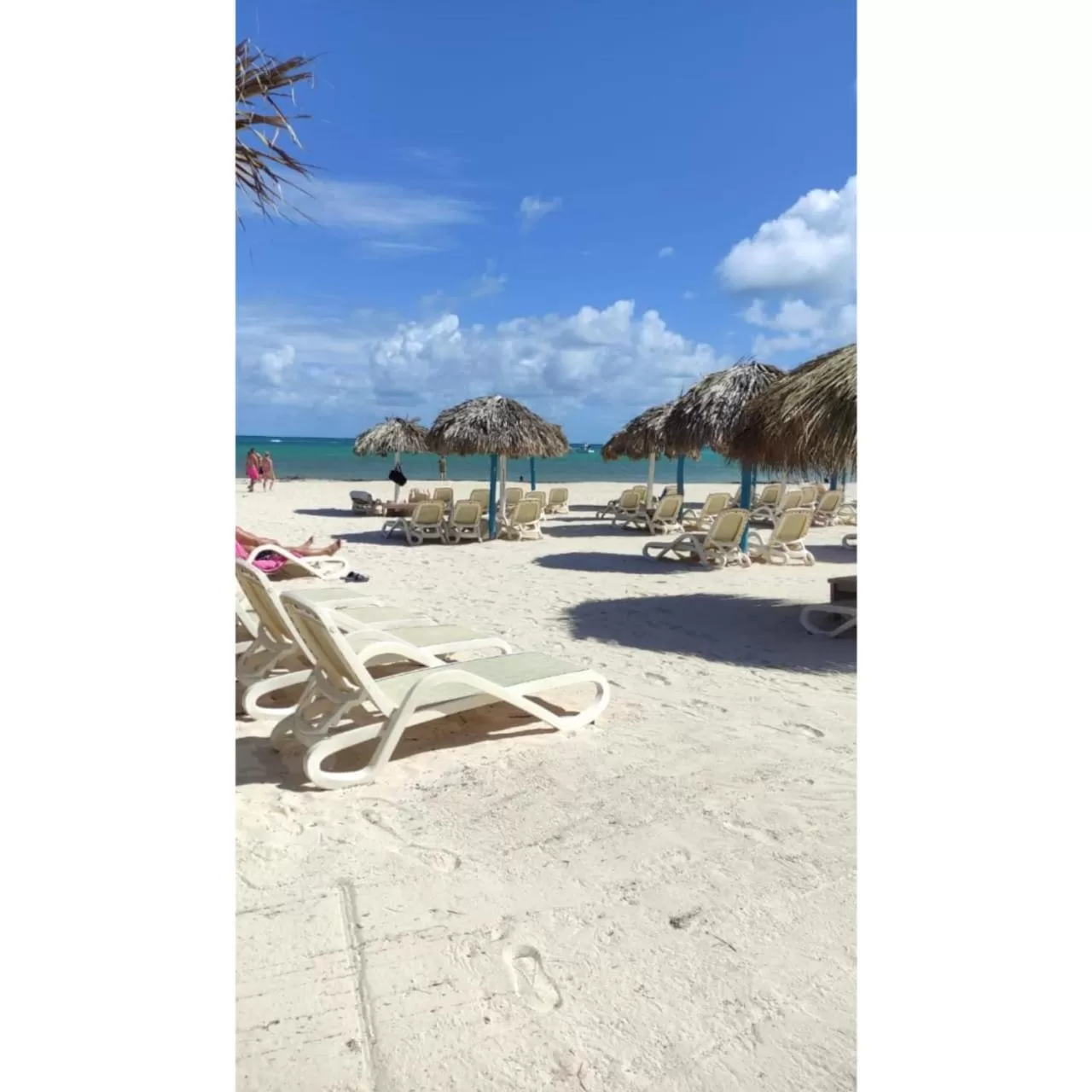 Beach in Villa Blanca Beach Club