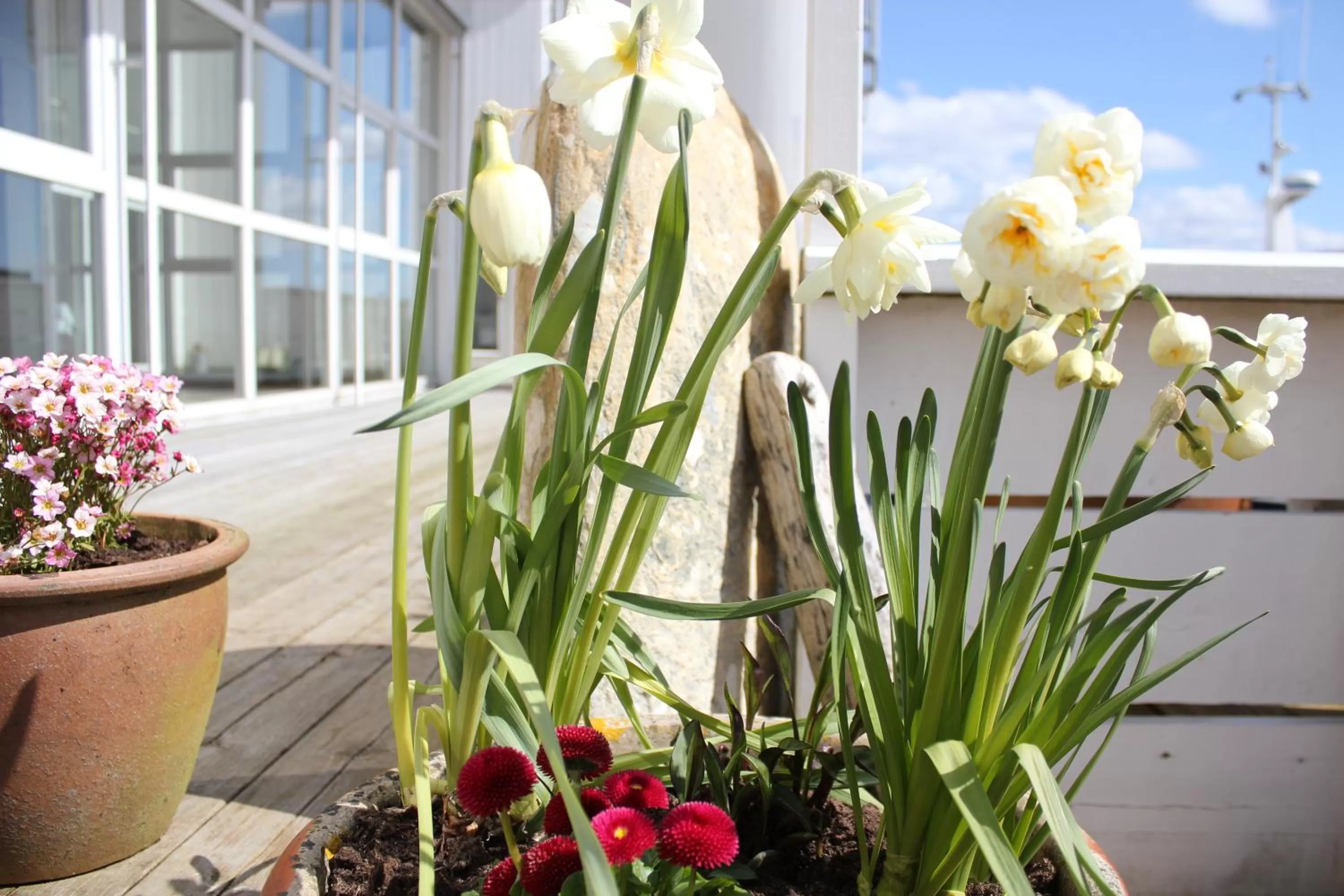 Facade/entrance in Hummeren Hotel