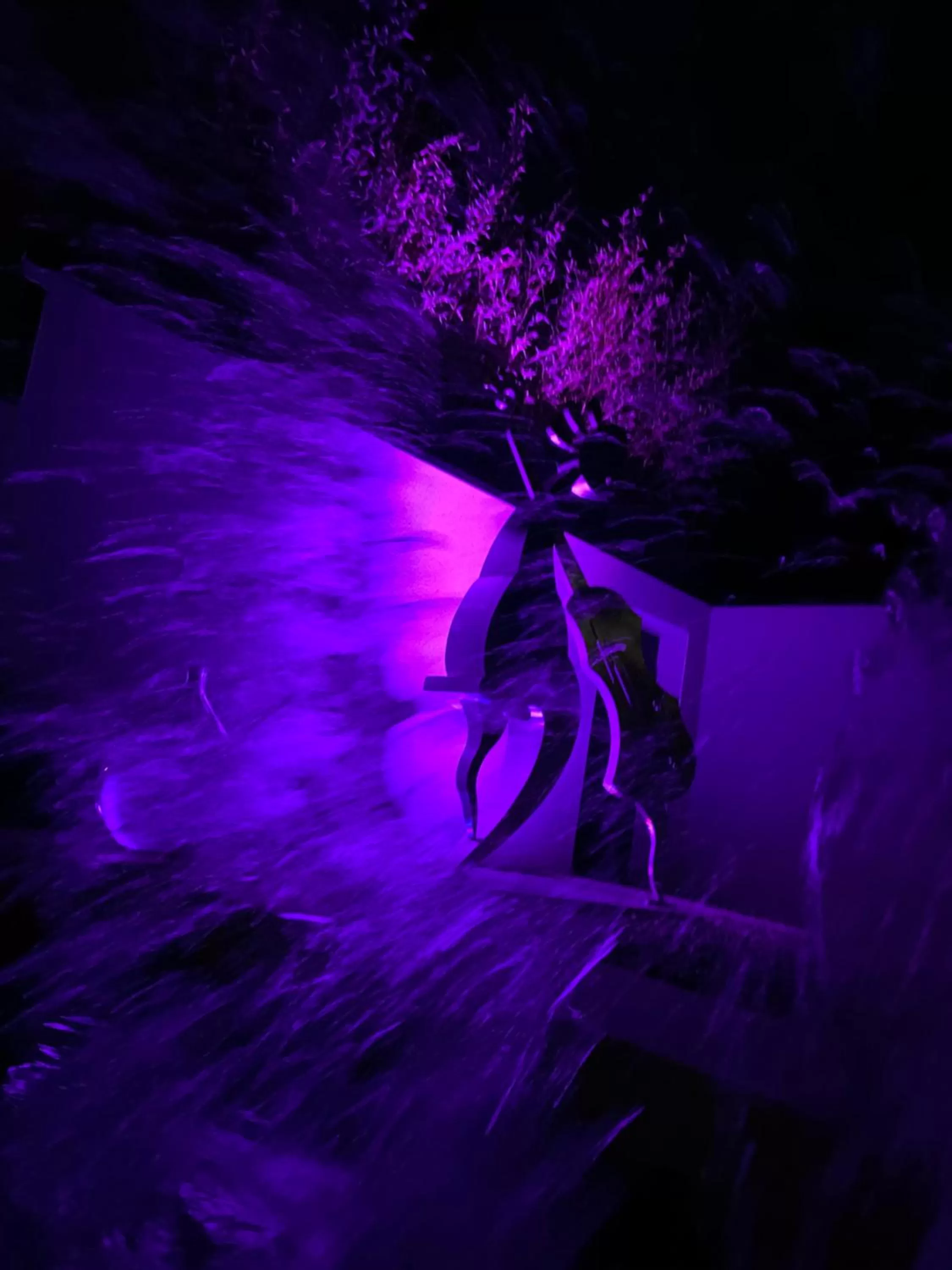 Swimming pool in D'OR Les Anges