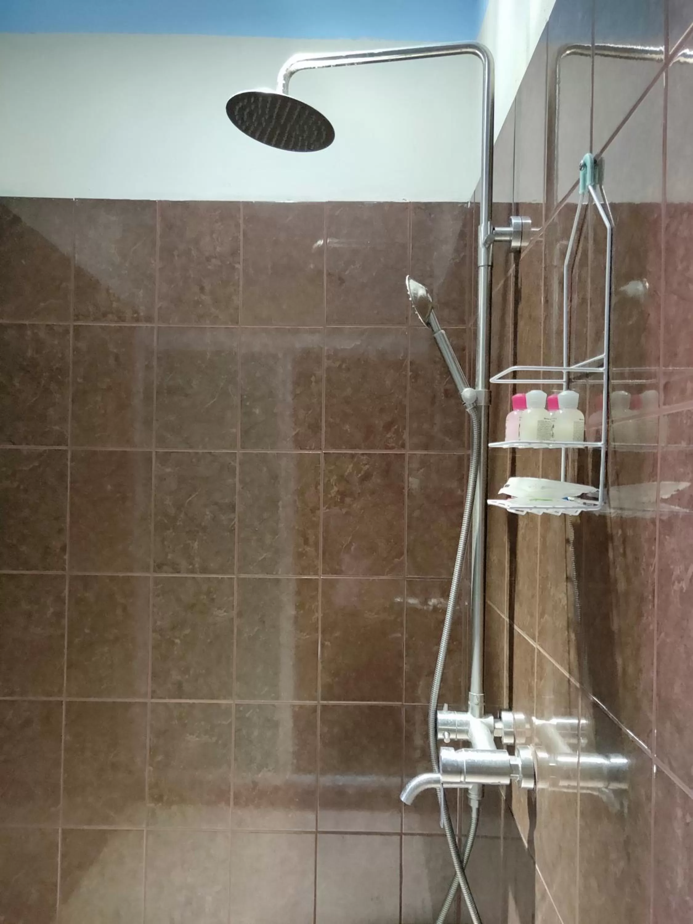 Shower, Bathroom in Sunshine View Hotel and Restaurant