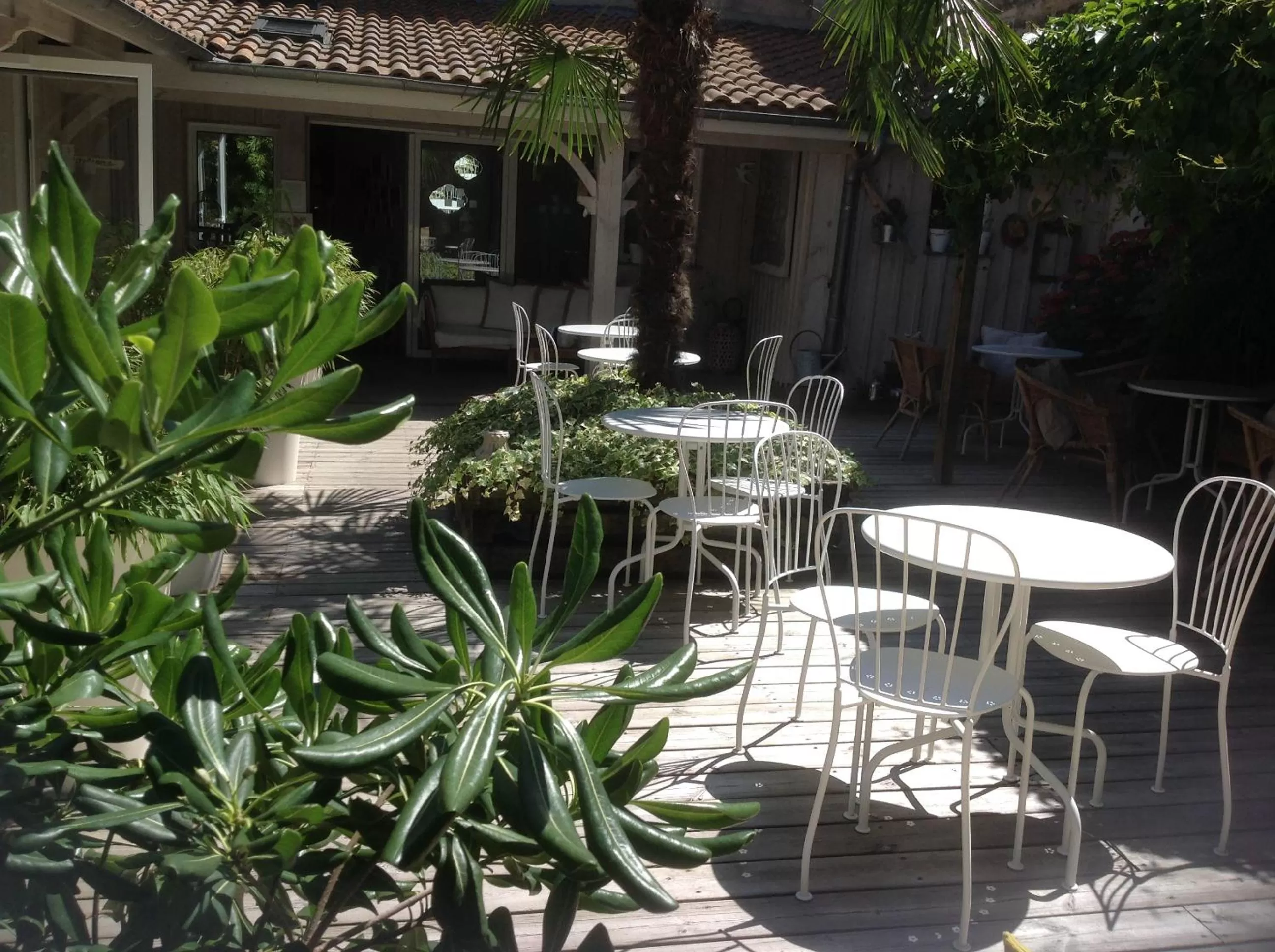 Patio in Maison du Lierre Bordeaux Centre ville