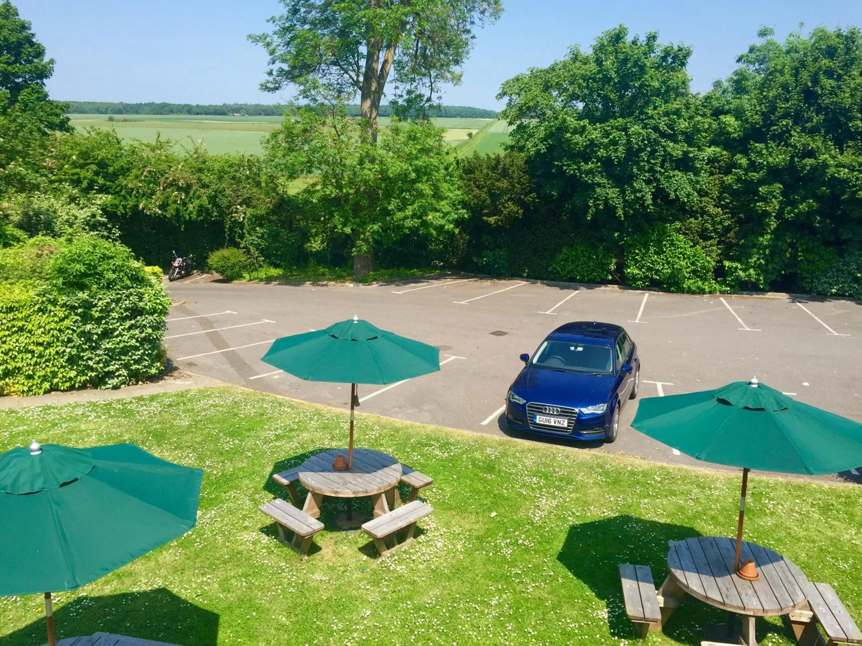 Garden in The White Swan