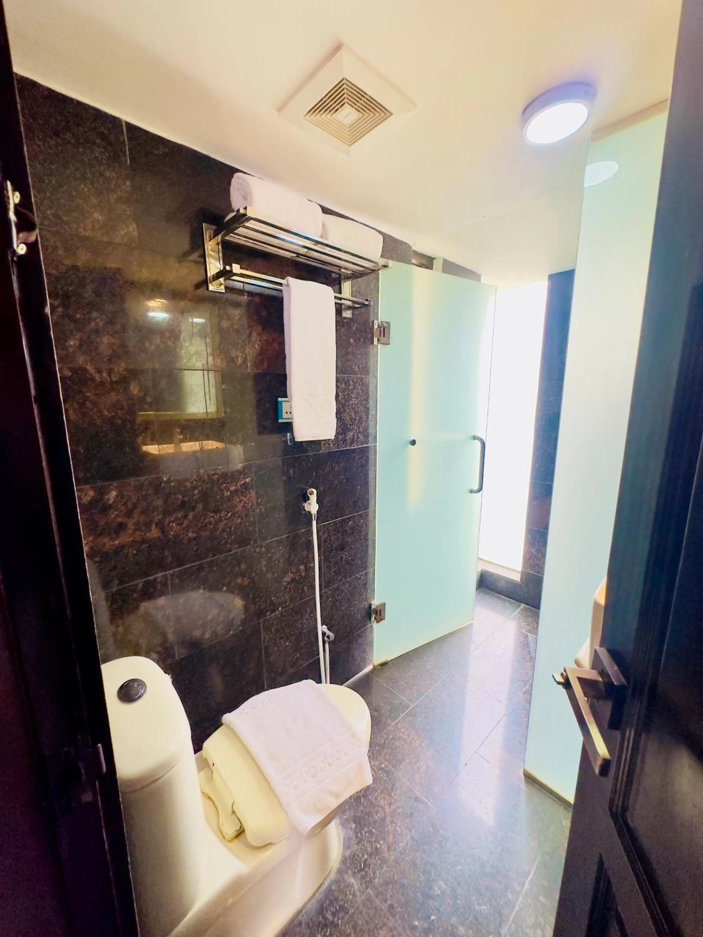 Toilet in The Elite Residence Dhaka