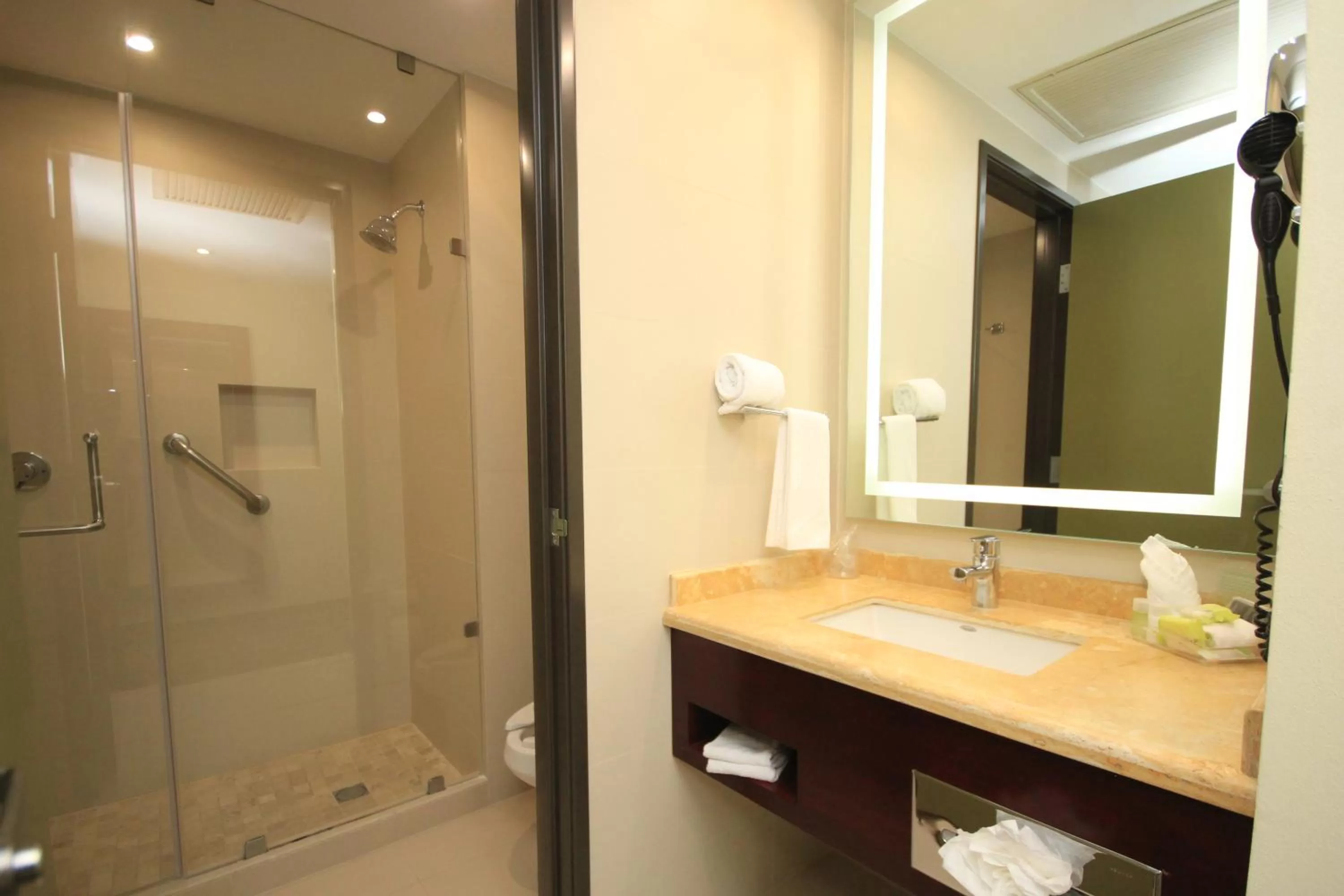 Shower in Holiday Inn Leon by IHG