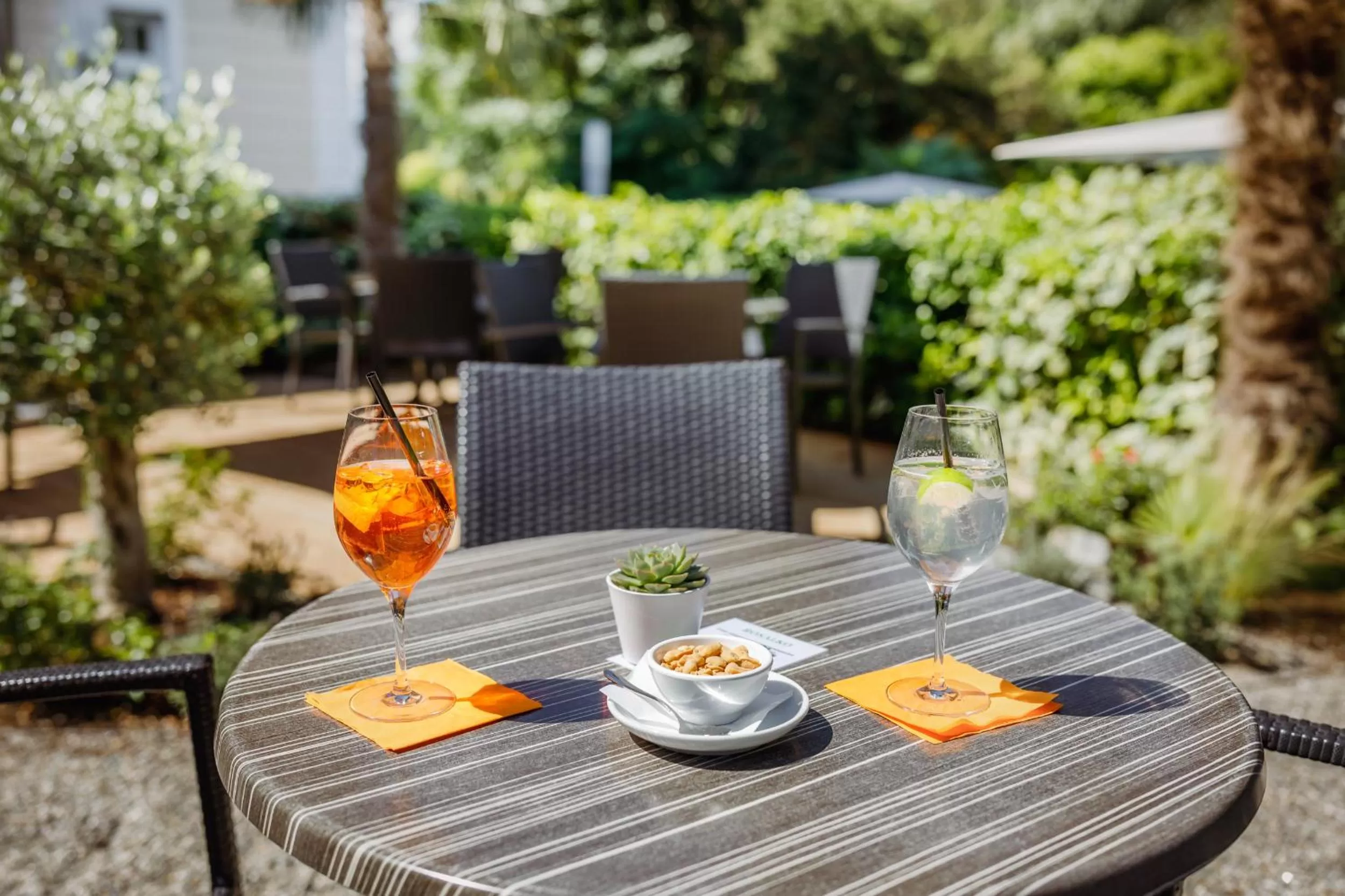 Garden in Hotel Kolping