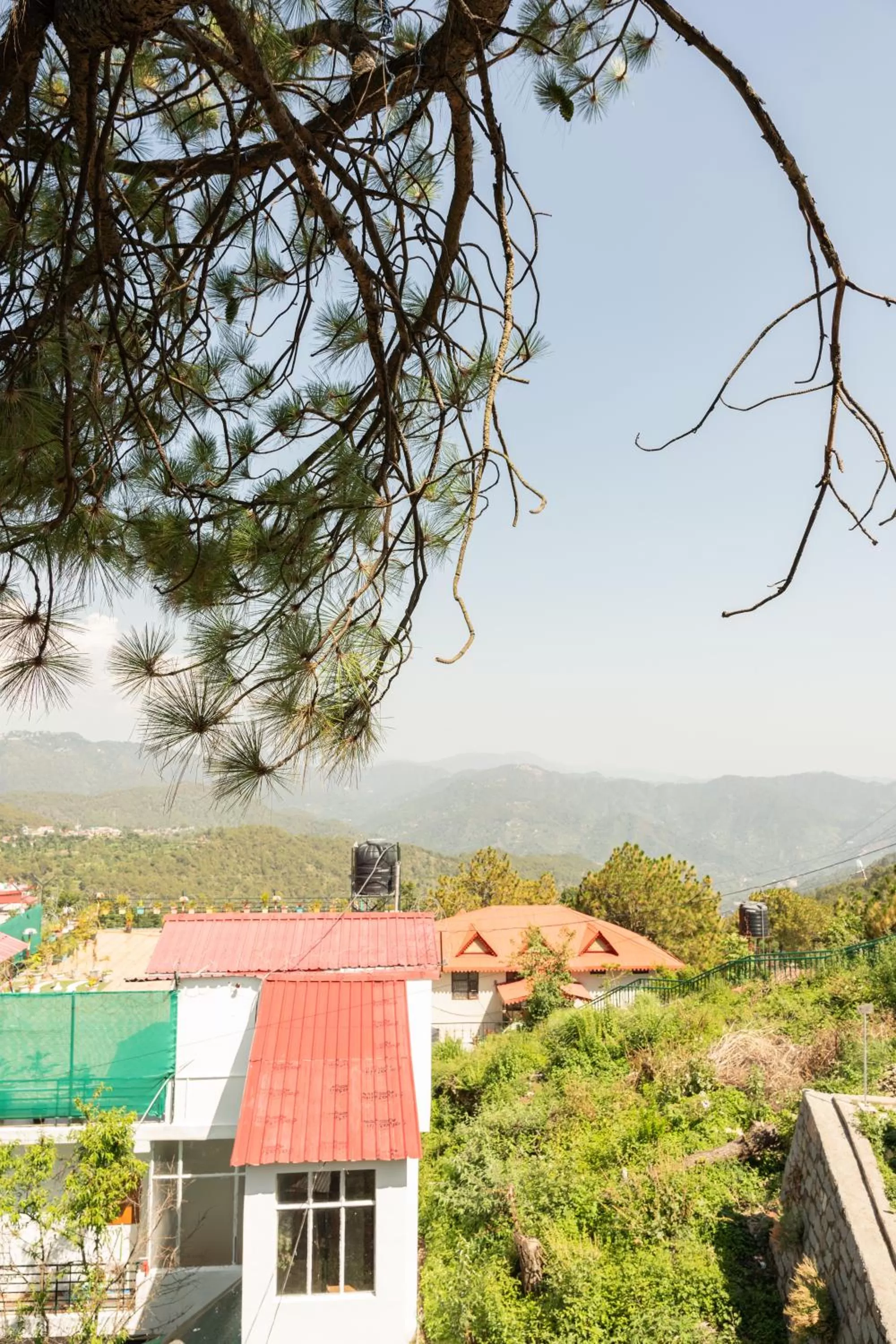 Natural landscape in Hotel Kasauli Regency Stags Not Allowed