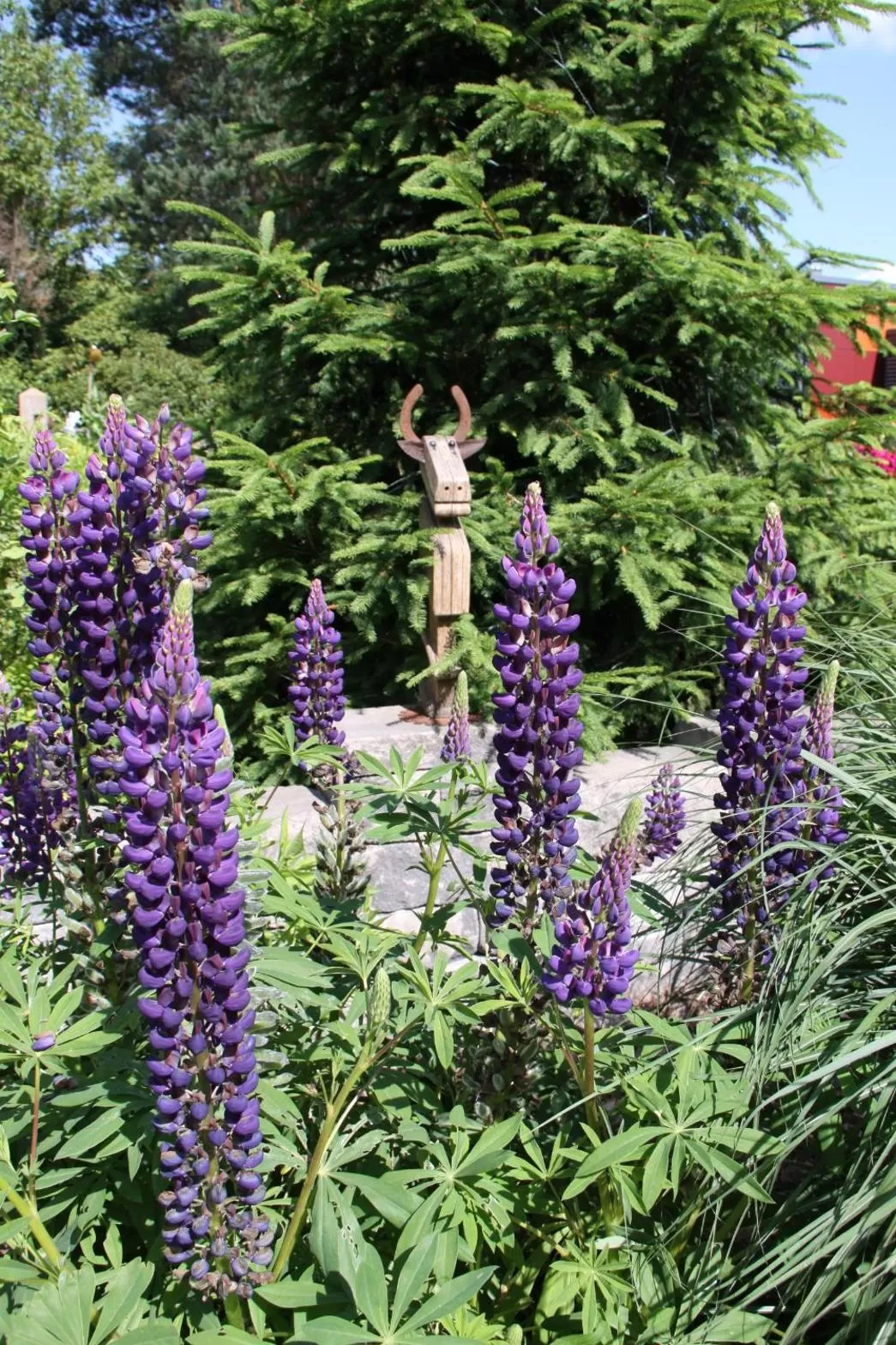 Garden in mein kleinHOTEL