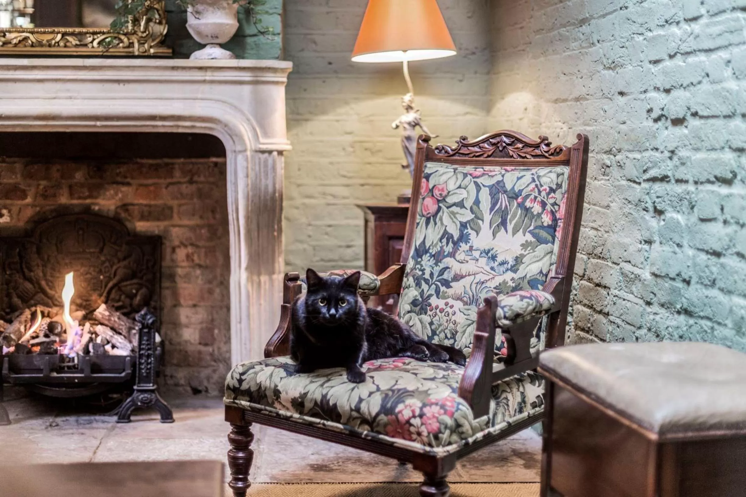 Lounge or bar in The Rookery