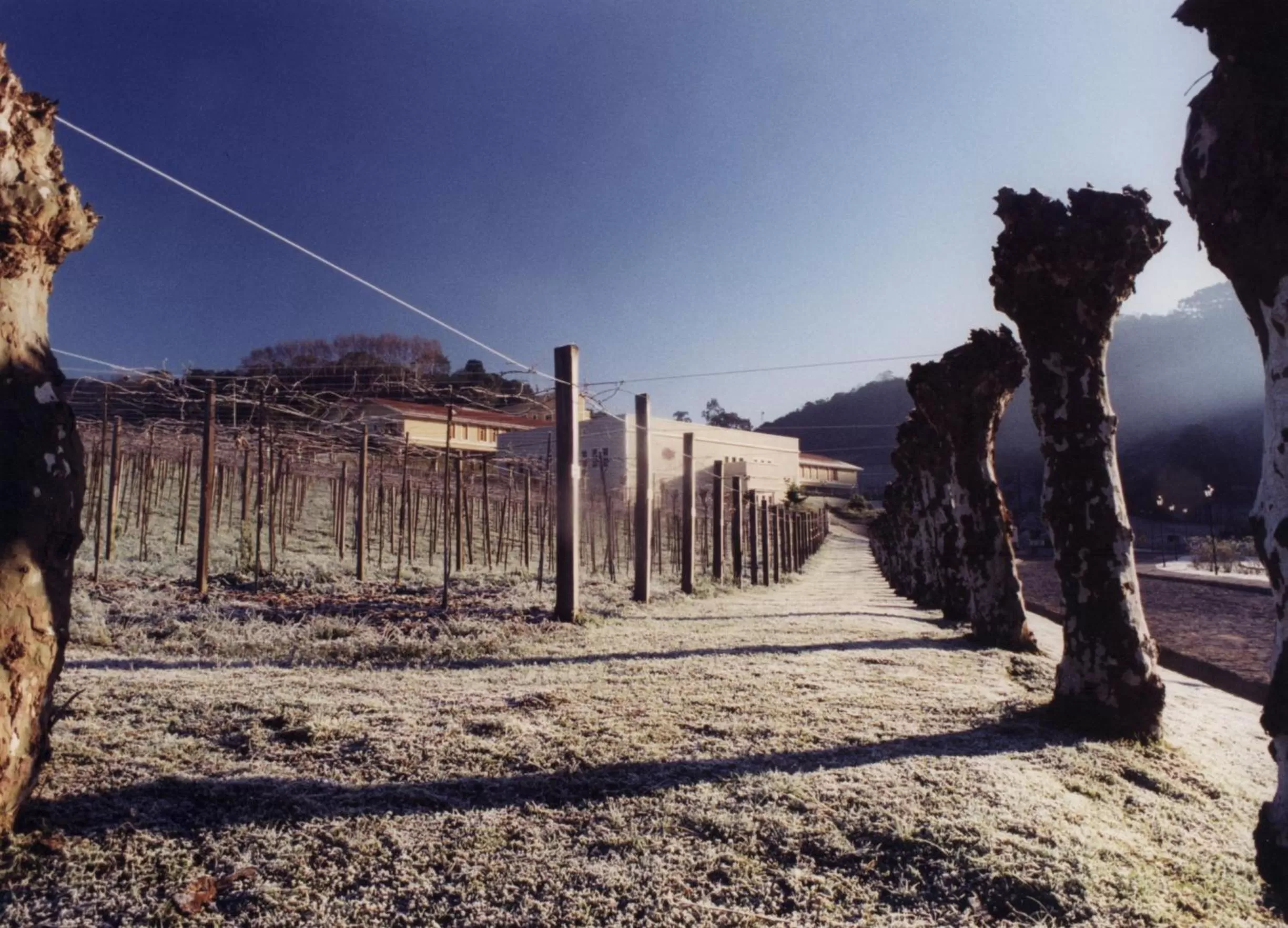 View (from property/room) in Hotel Villa Michelon