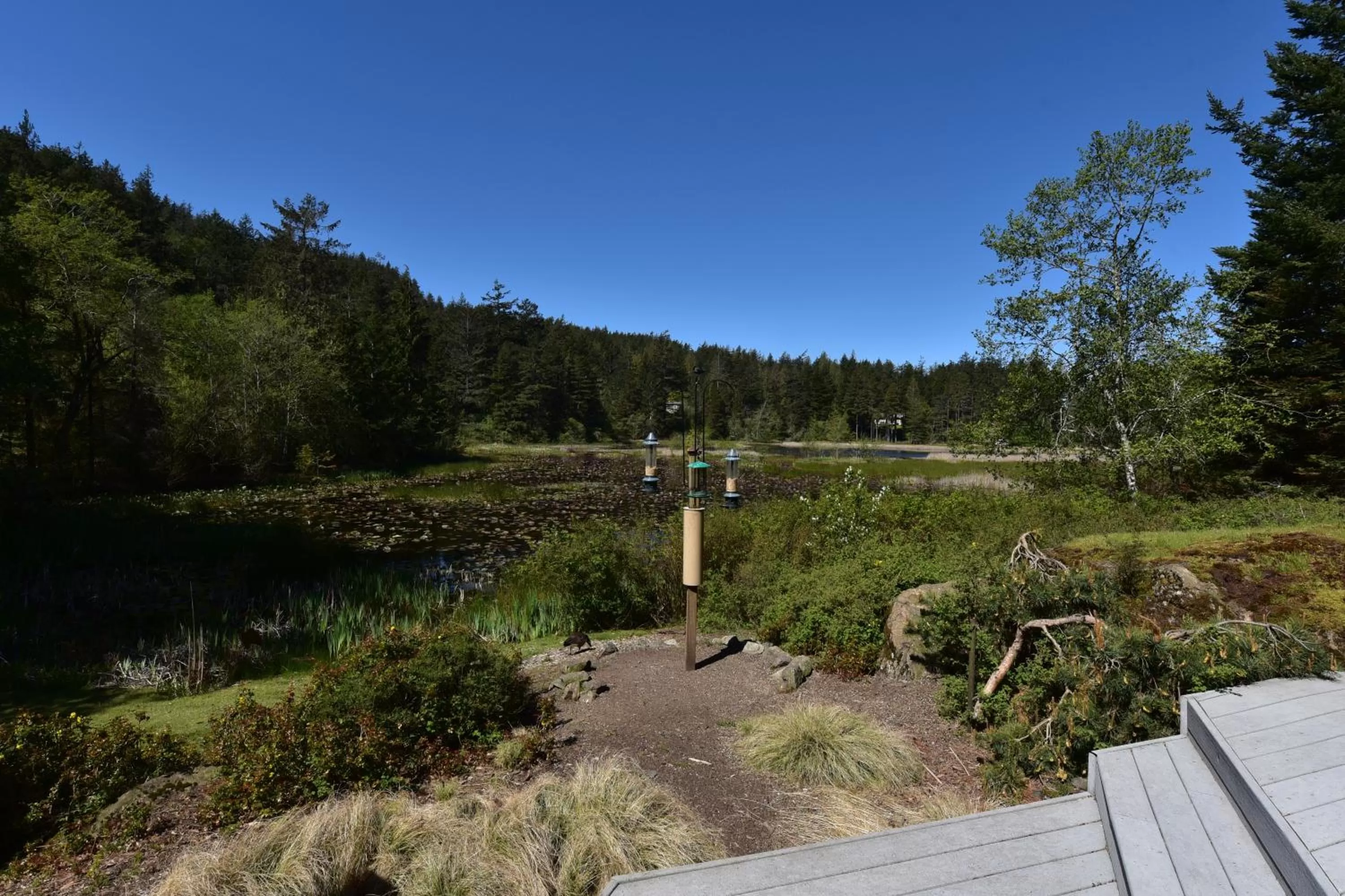 Natural landscape in Otter's Pond Bed and Breakfast
