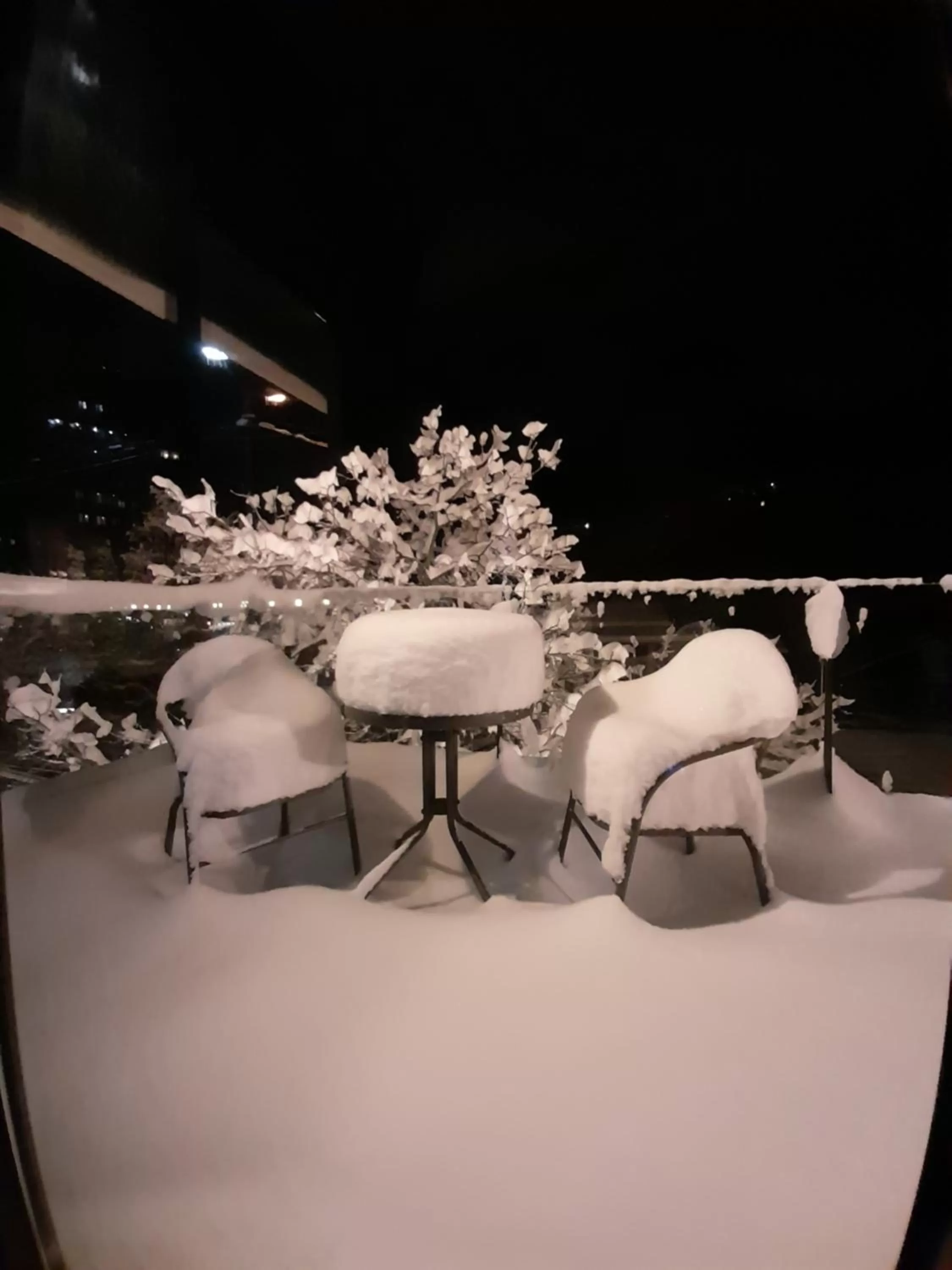 Winter in Borjomi Bridge Hotel