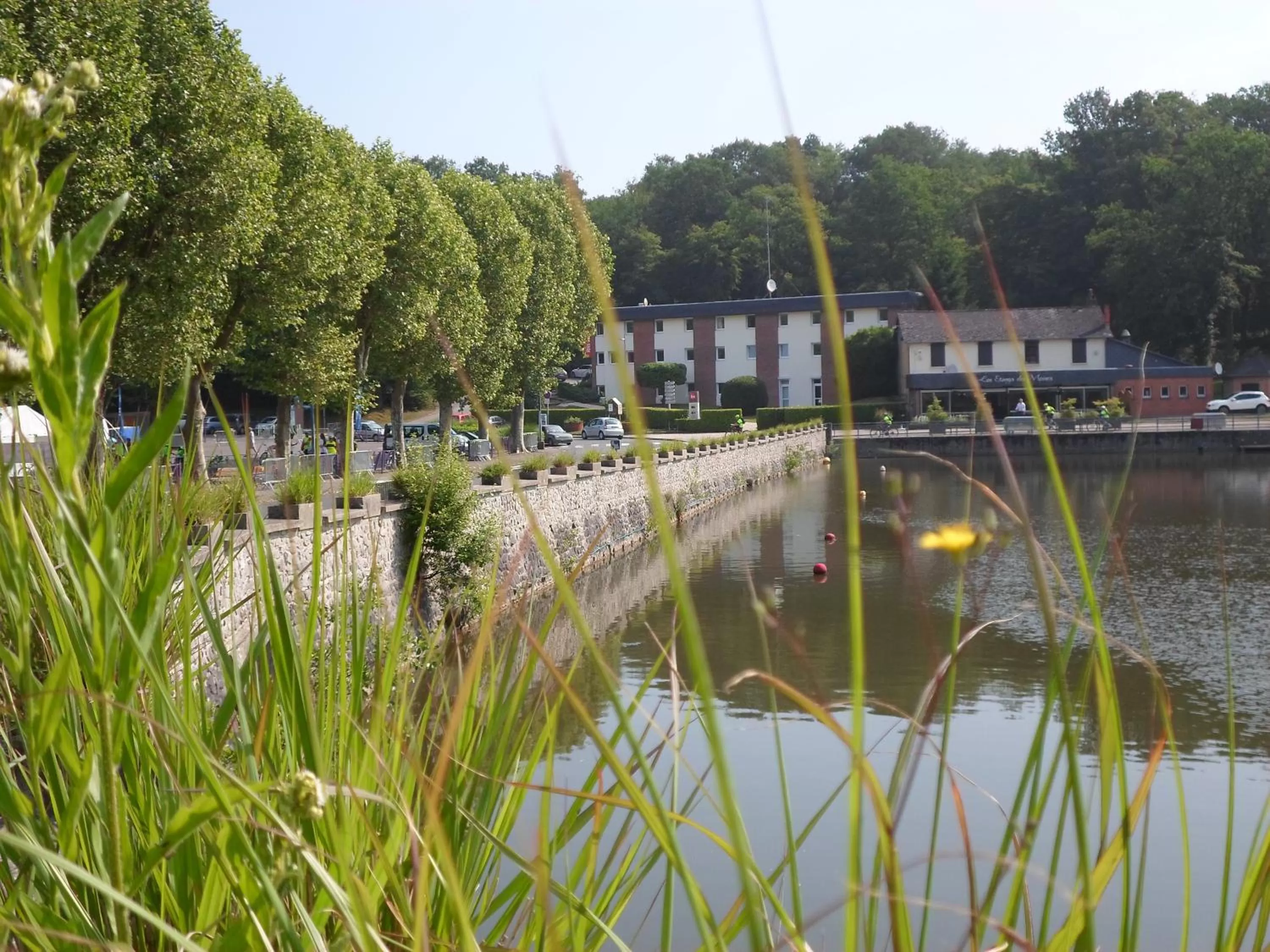 Natural landscape in ibis les Etangs des Moines