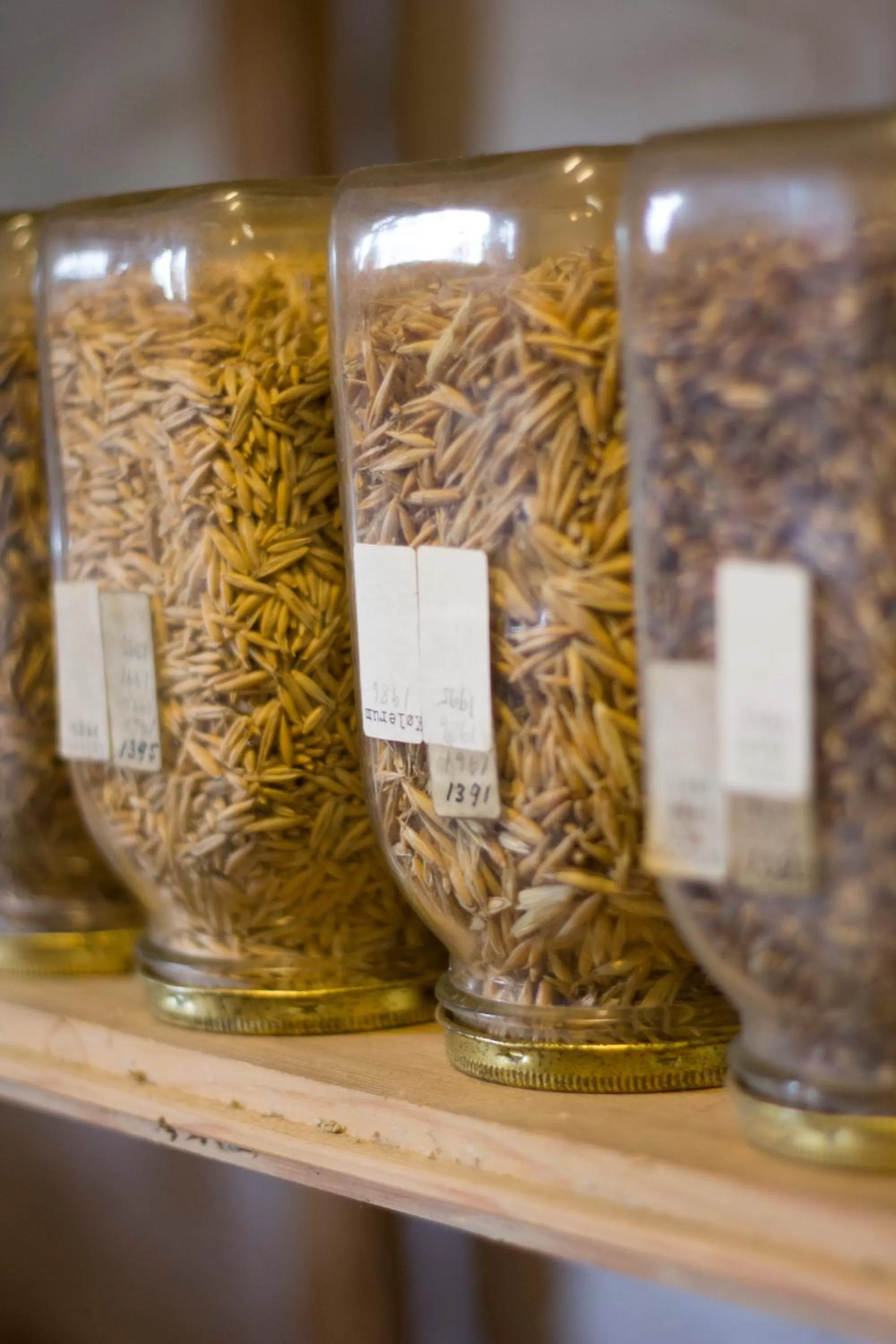 Activities in Rønhave