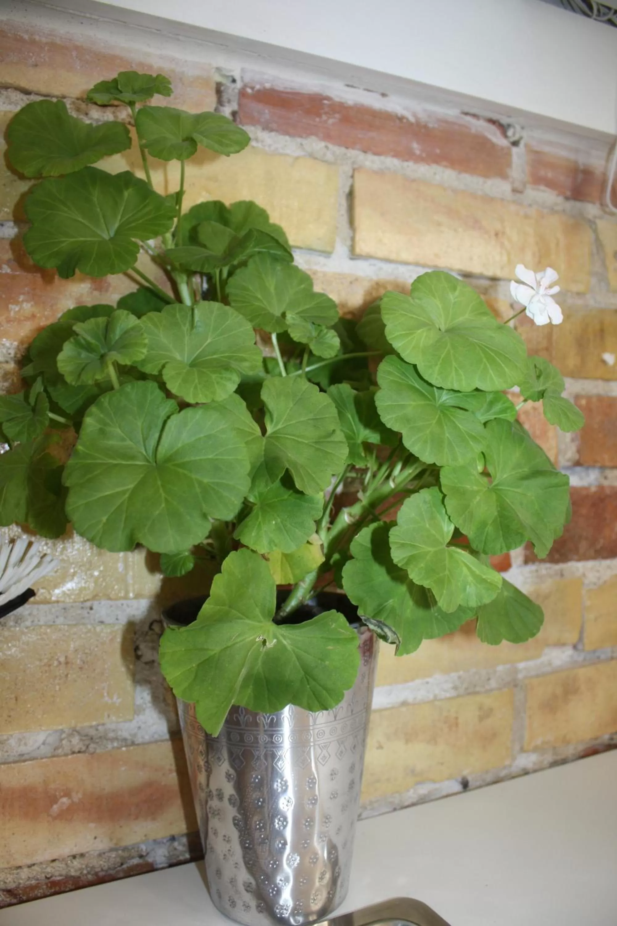 Other in Wramsta B&B