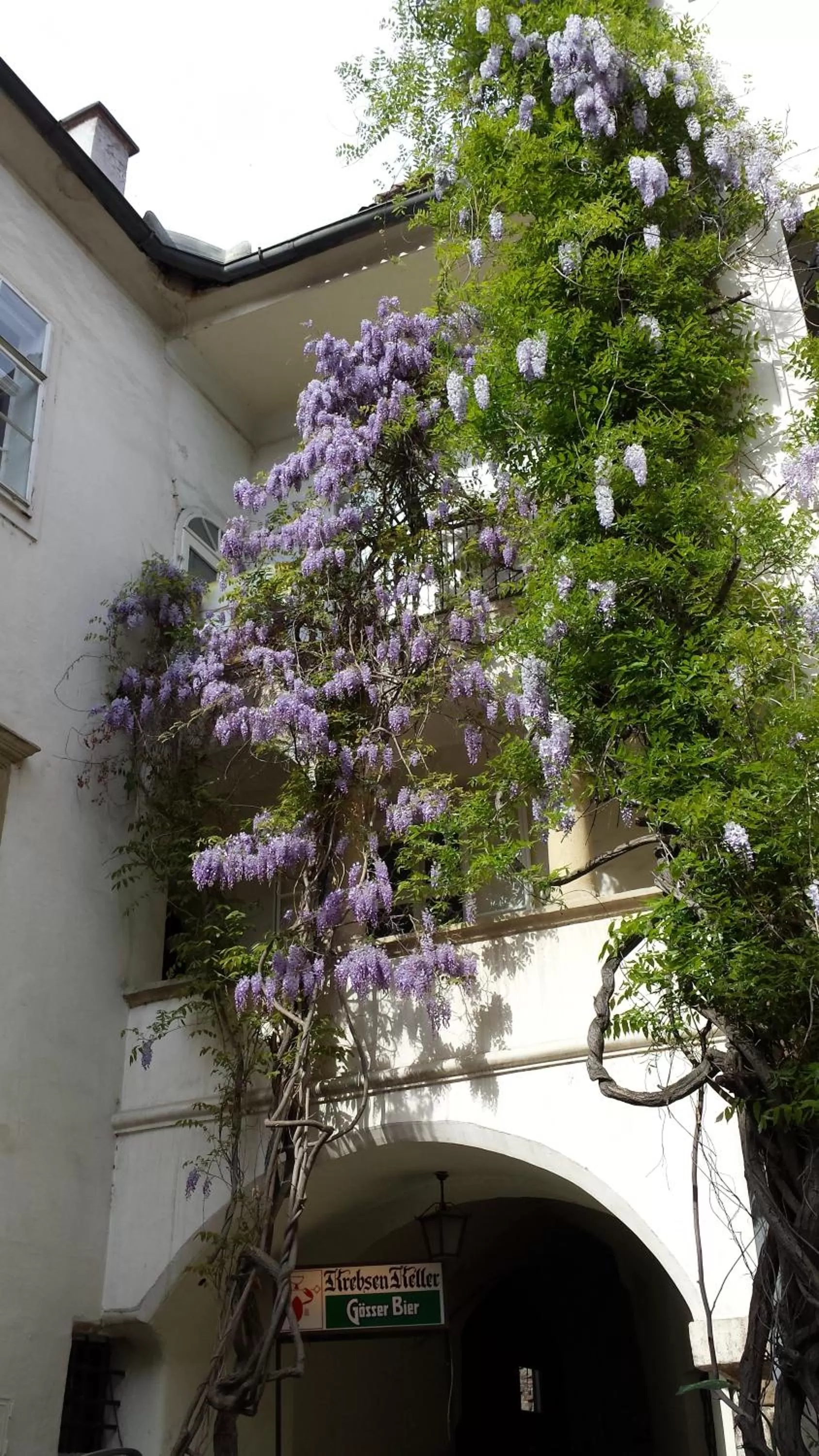 Restaurant/places to eat in Minihotel Graz