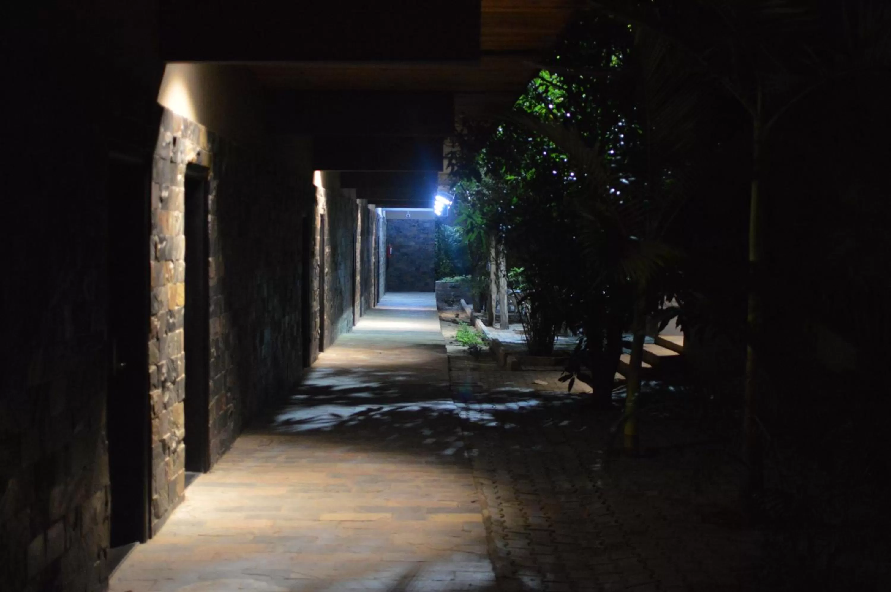 Night in Palm Kalash Hotel