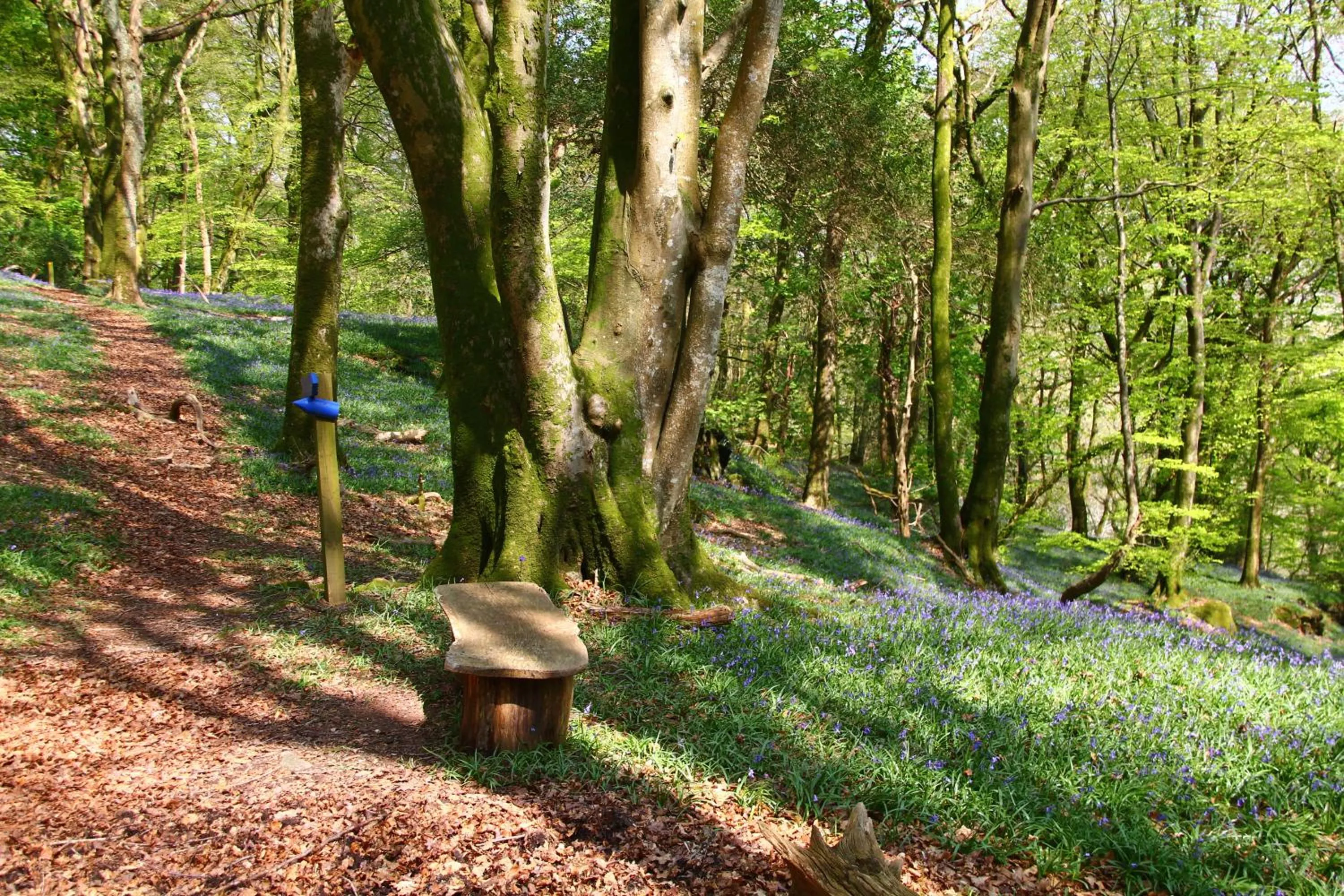 Area and facilities in Aberdunant Hall