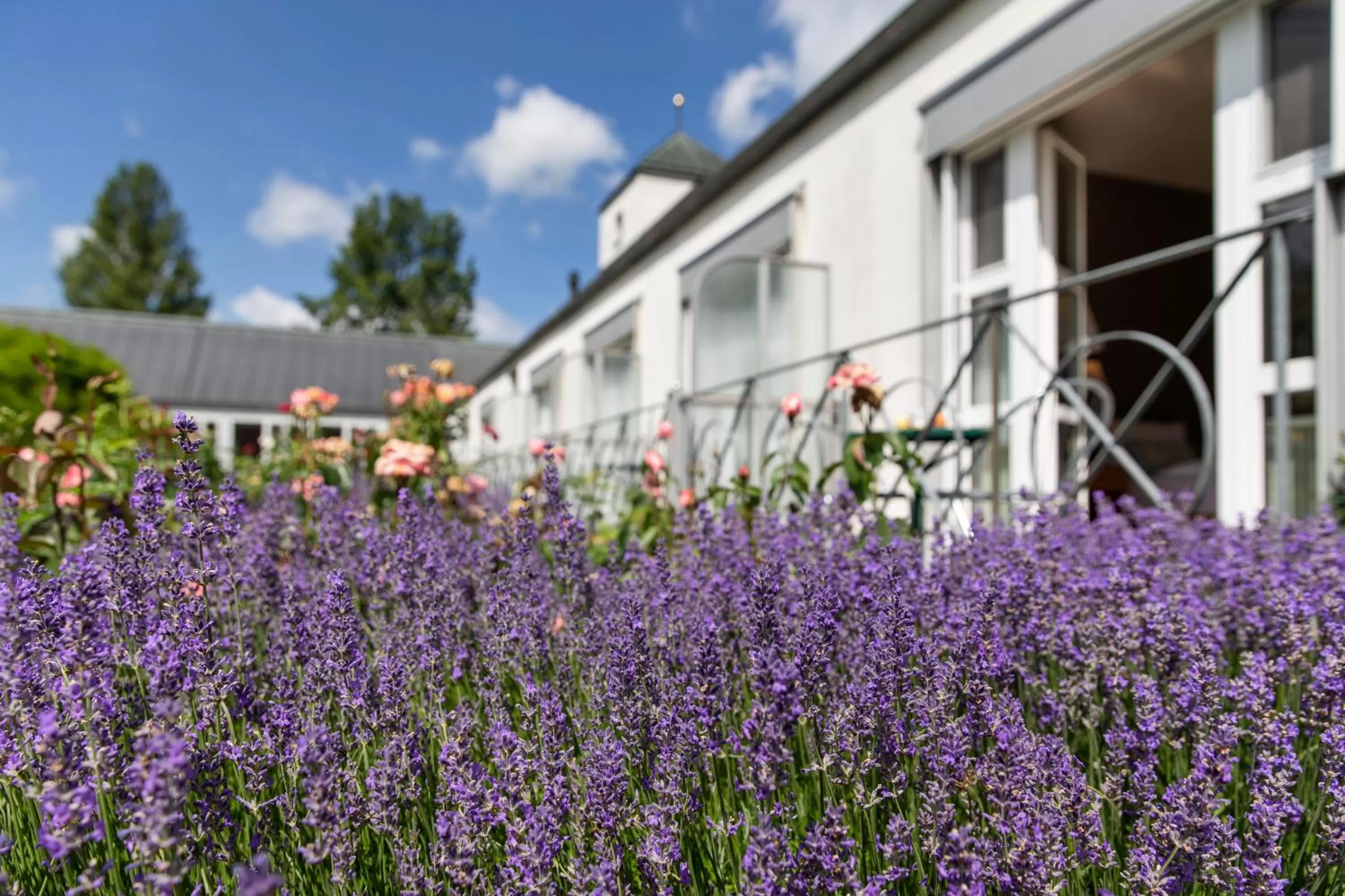 Property Building in See & Park Hotel Feldbach