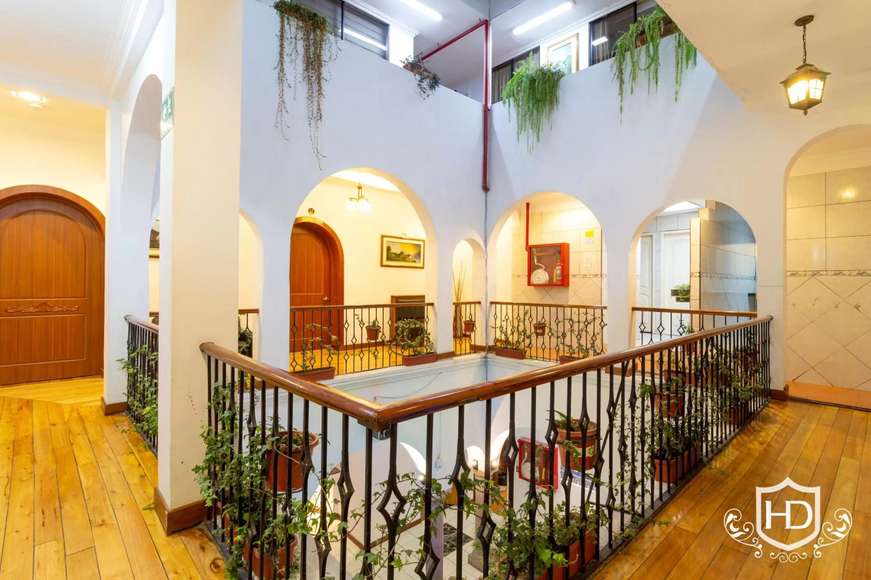 Area and facilities in Hotel David