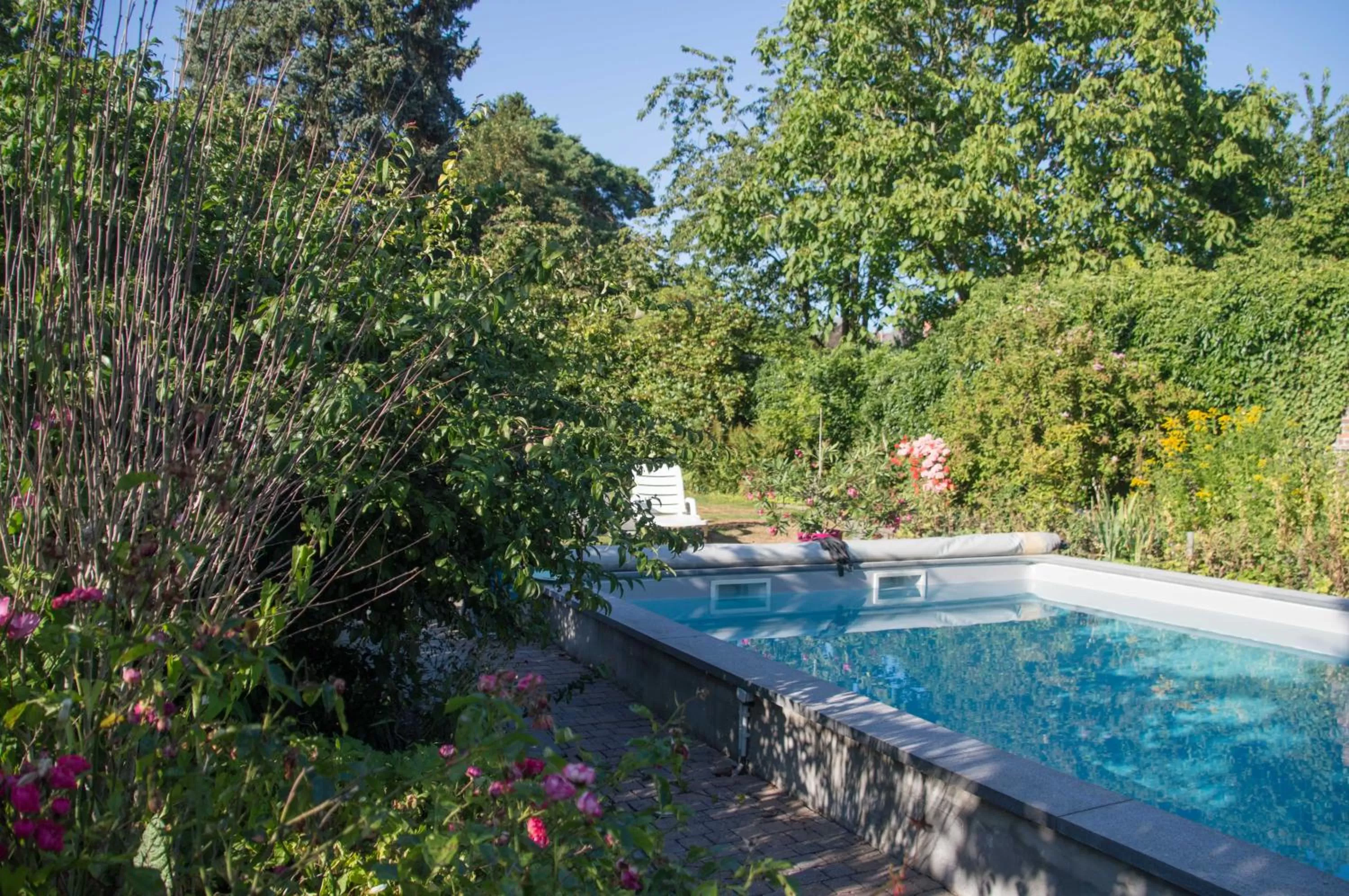 Swimming pool in B and B Comme chez soi