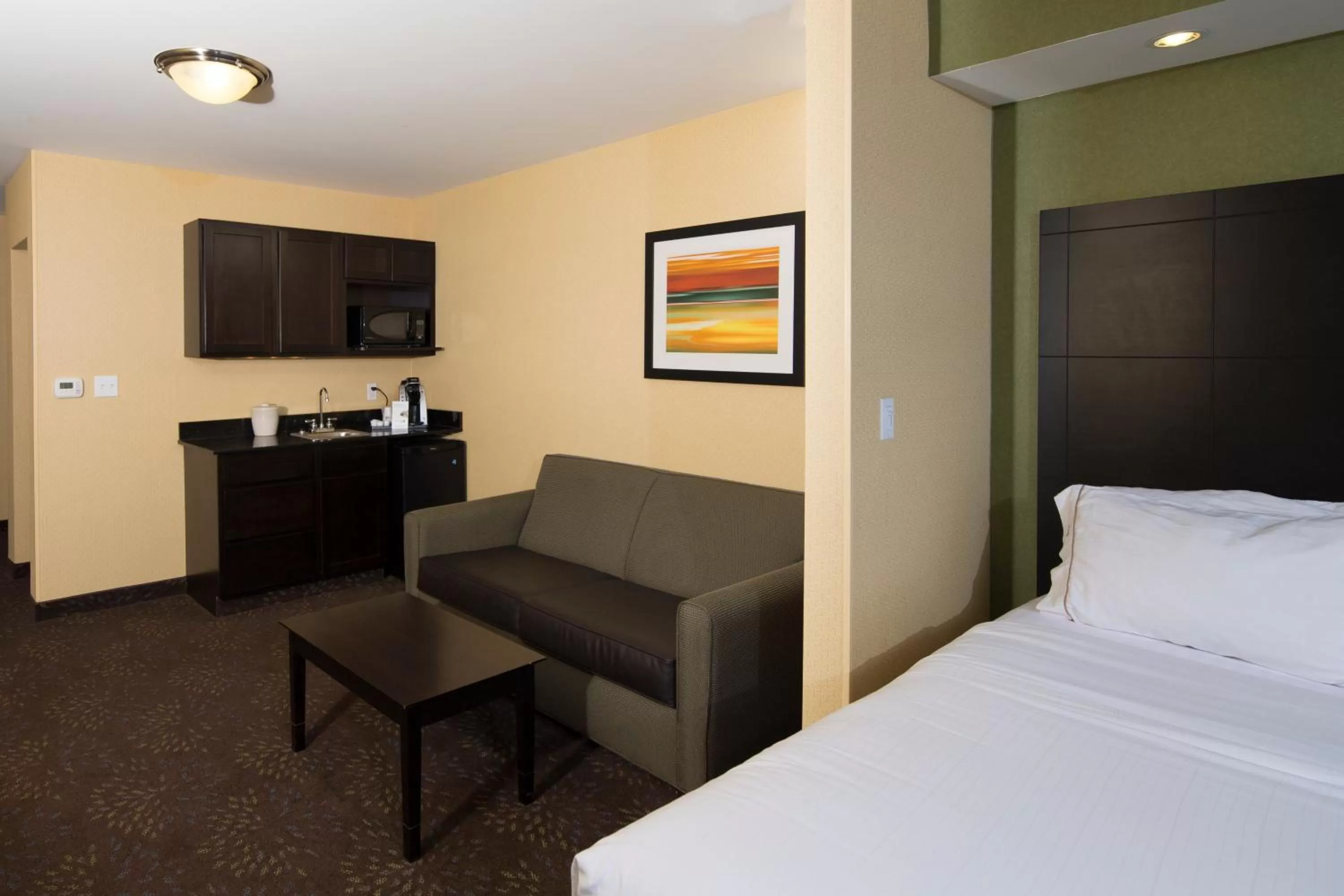 Photo of the whole room, Bed in Holiday Inn Express and Suites Detroit North-Troy by IHG