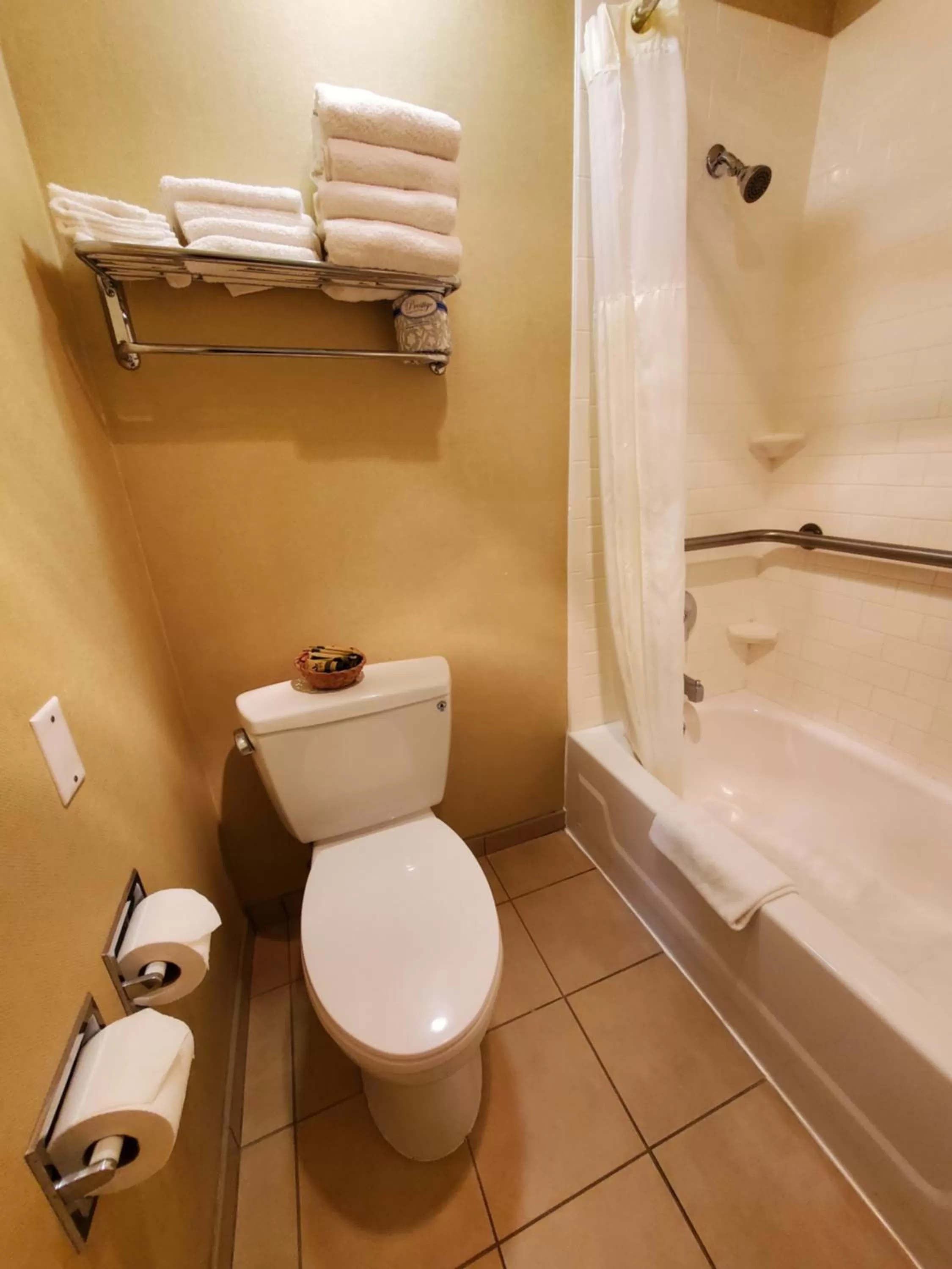 Toilet in Royal Pacific Motor Inn