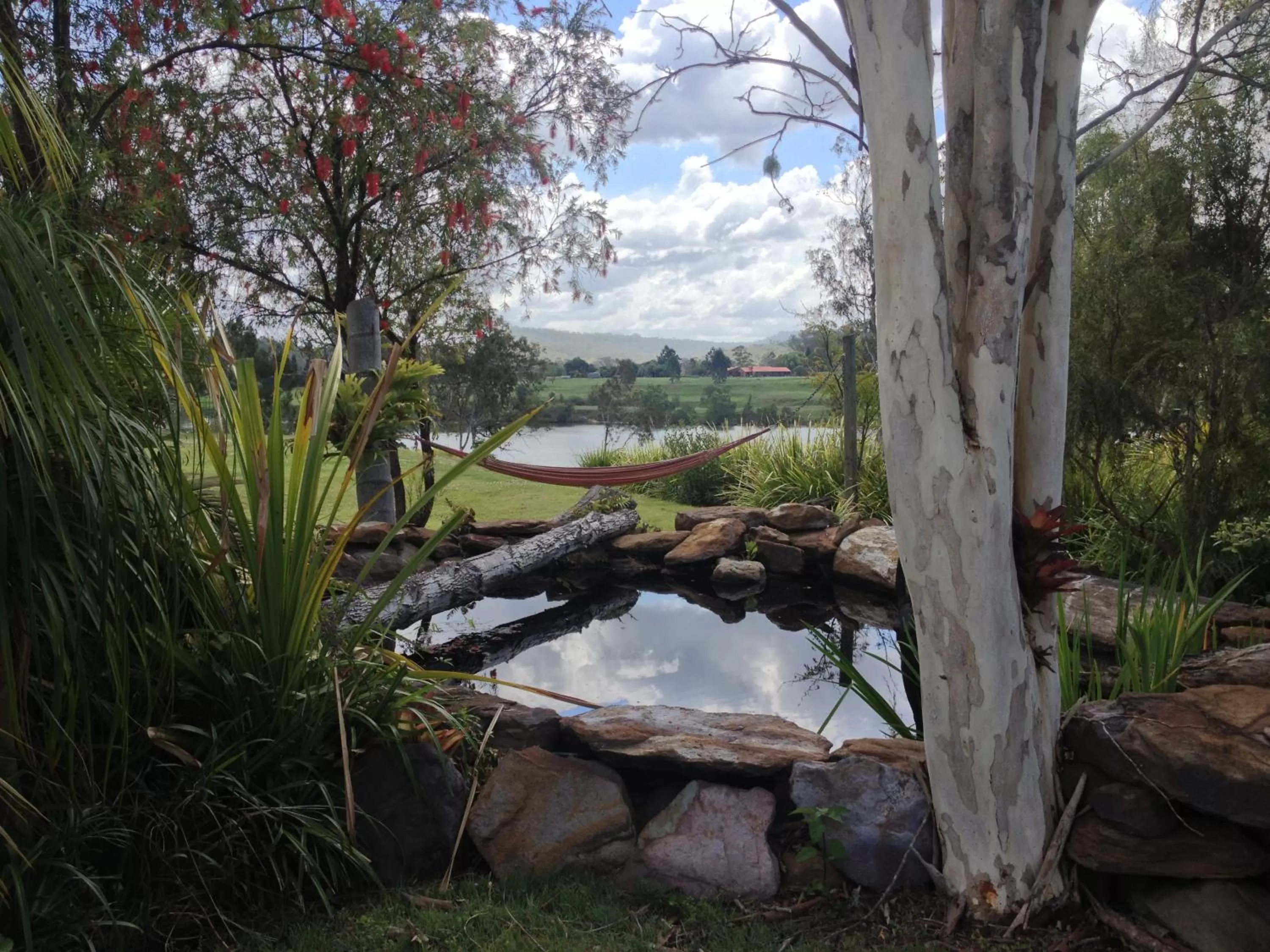 Garden in Clarence River Bed & Breakfast