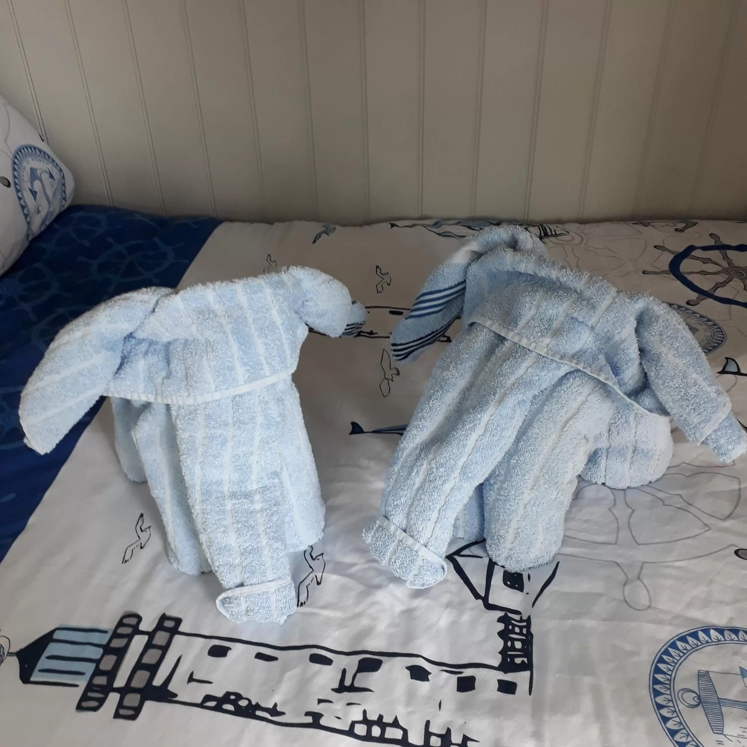 Bed in Allibella Shepherds Hut, Amazing Seaview, Private garden, Pet Friendly