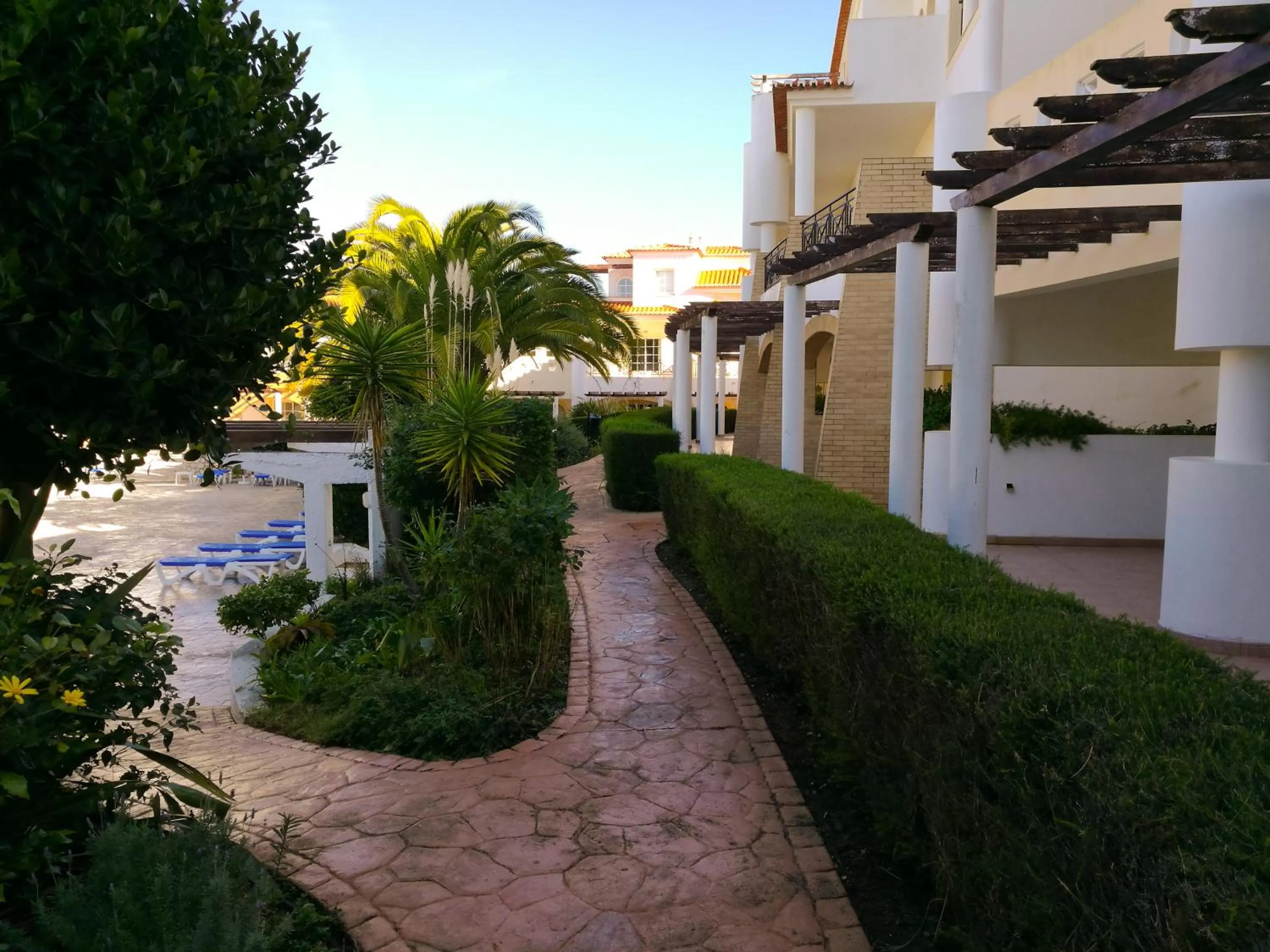 Garden in Club House CVL