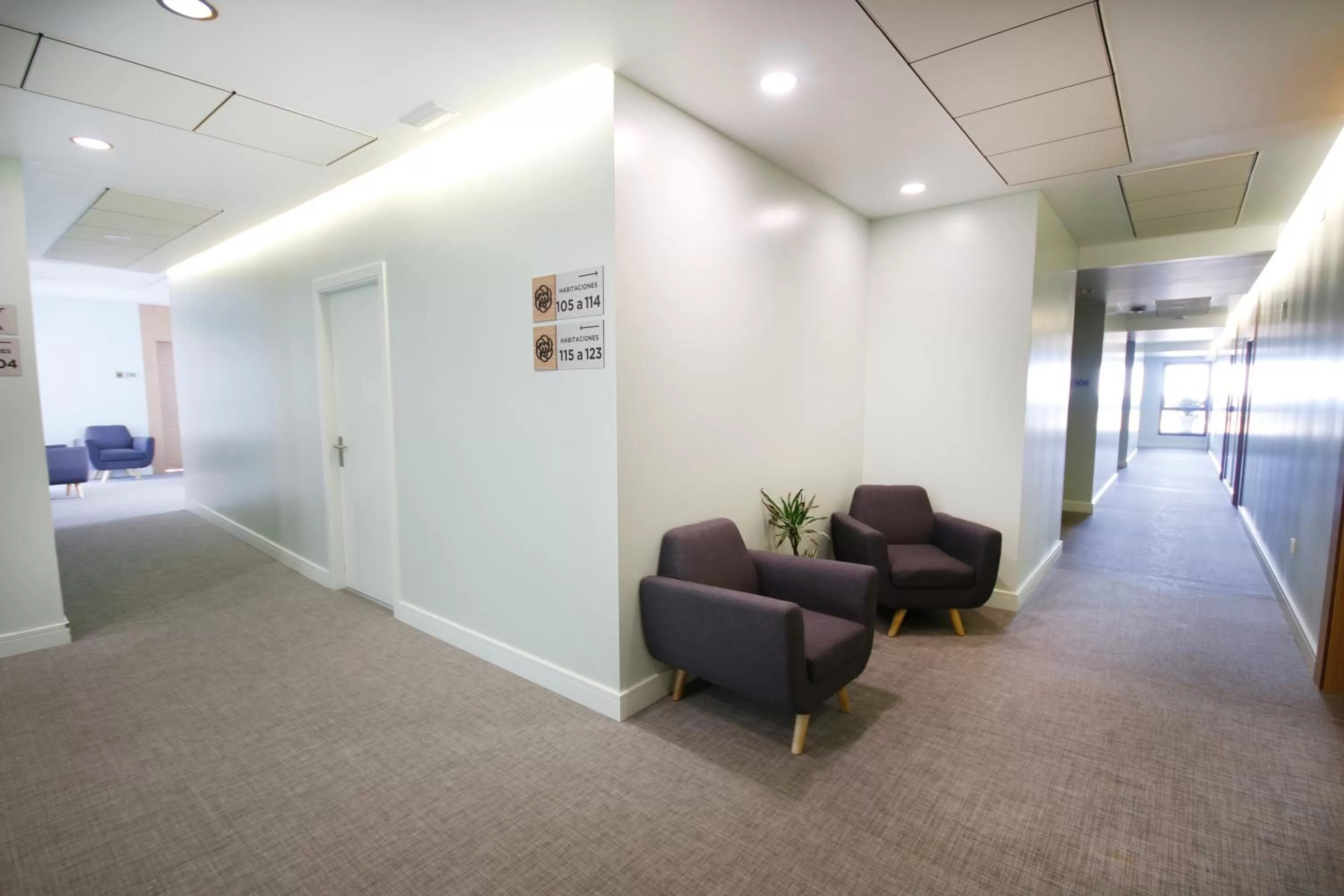 Decorative detail, Lobby/Reception in Hotel Leo
